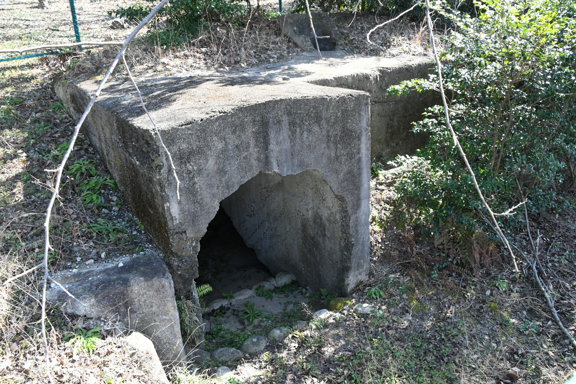 20240213_永井前野記念公園 (3)