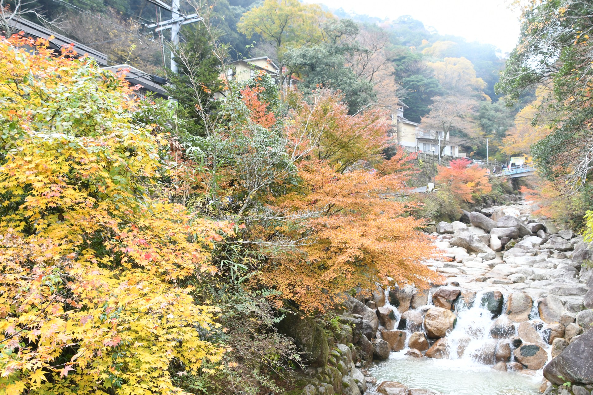 20231123_湯の山温泉街2