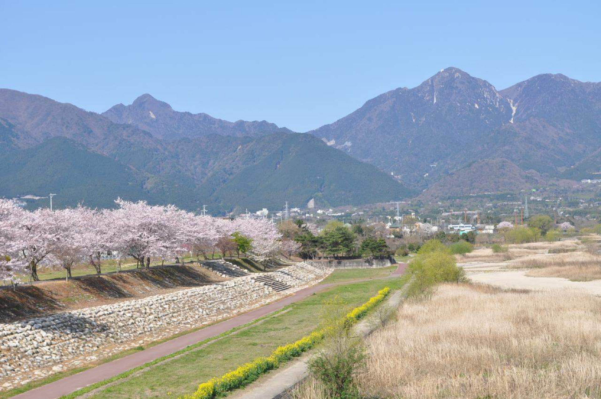 三滝川河川敷1