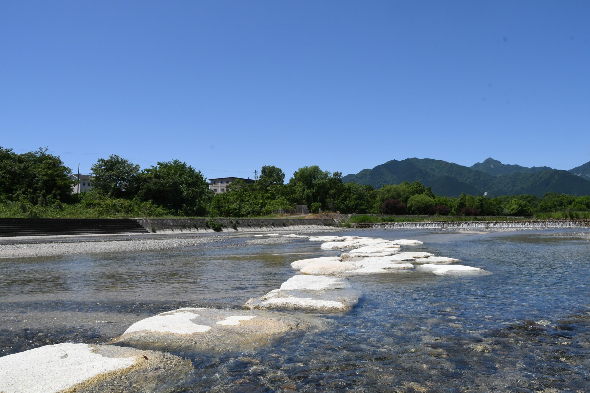 20230524_三滝川河川敷 (2)