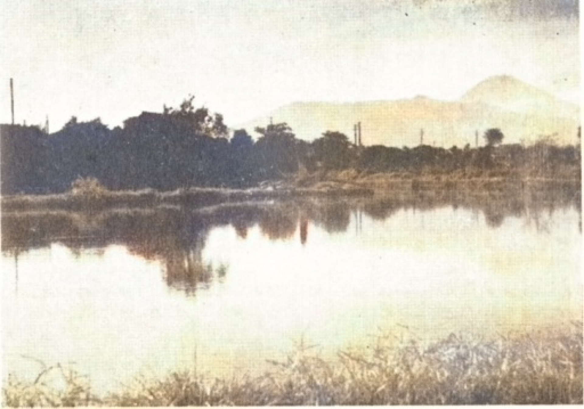 玉川池(中郷温水地)