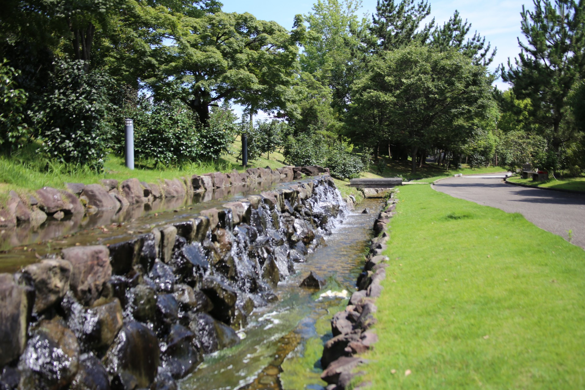 市中央公園（夏）