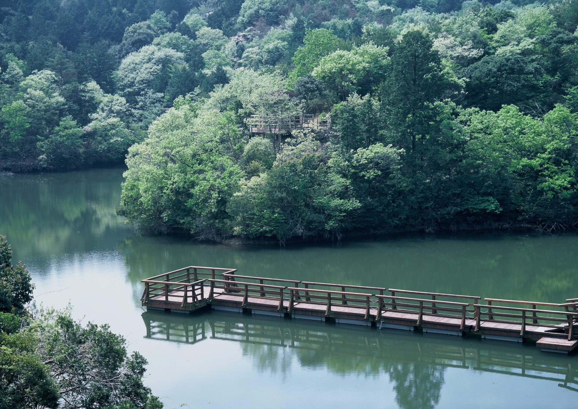 千鳥ヶ谷池