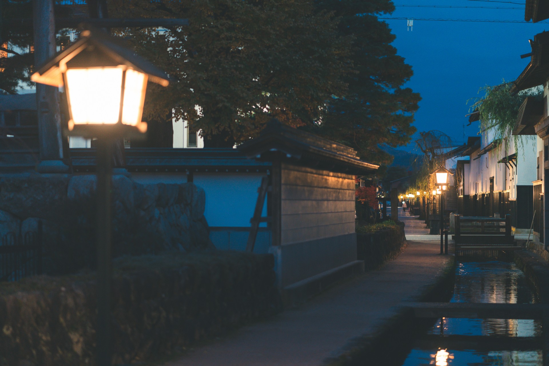 夜の瀬戸川