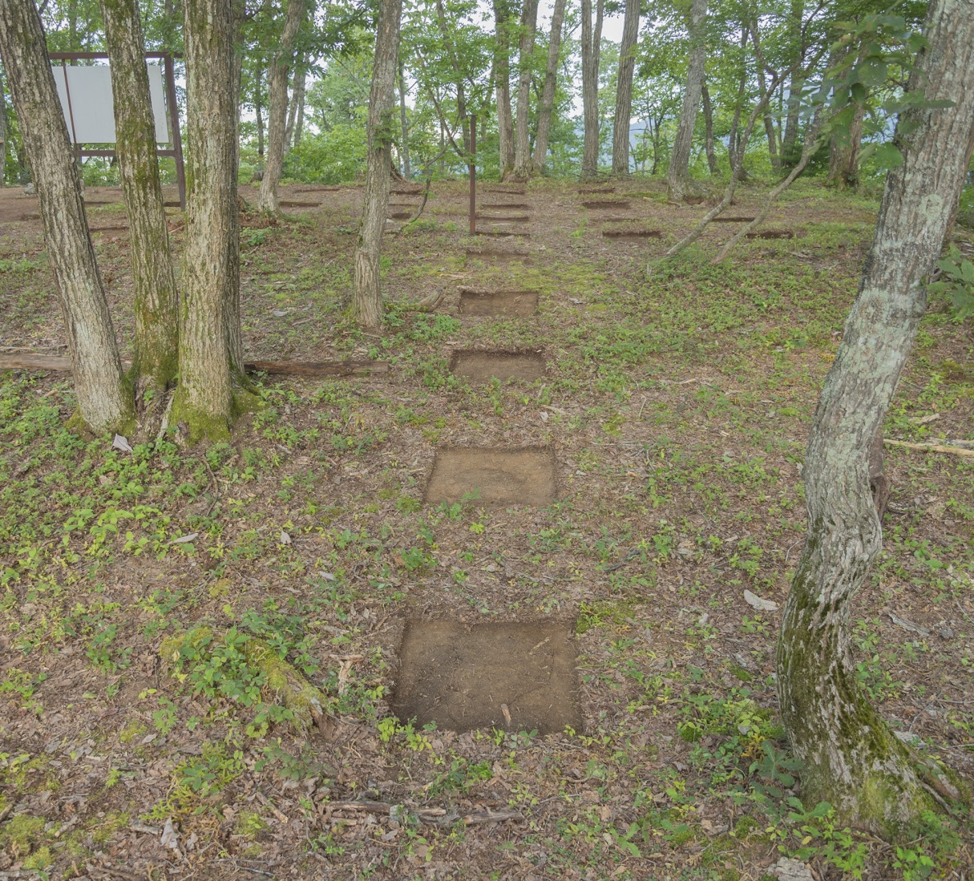 姉小路氏城館跡　小鷹利城跡礎石建物2（西から）