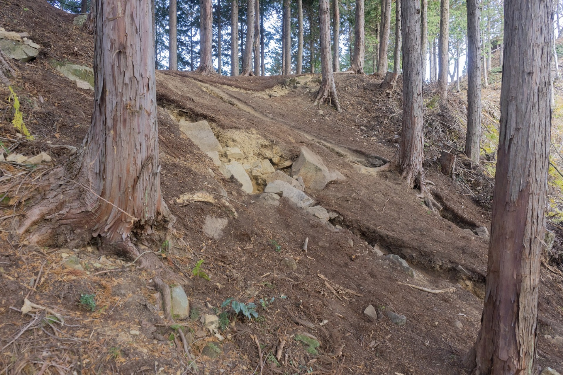 姉小路氏城館跡　小島城跡1～3号トレンチ通路3調査終了状況（西から）