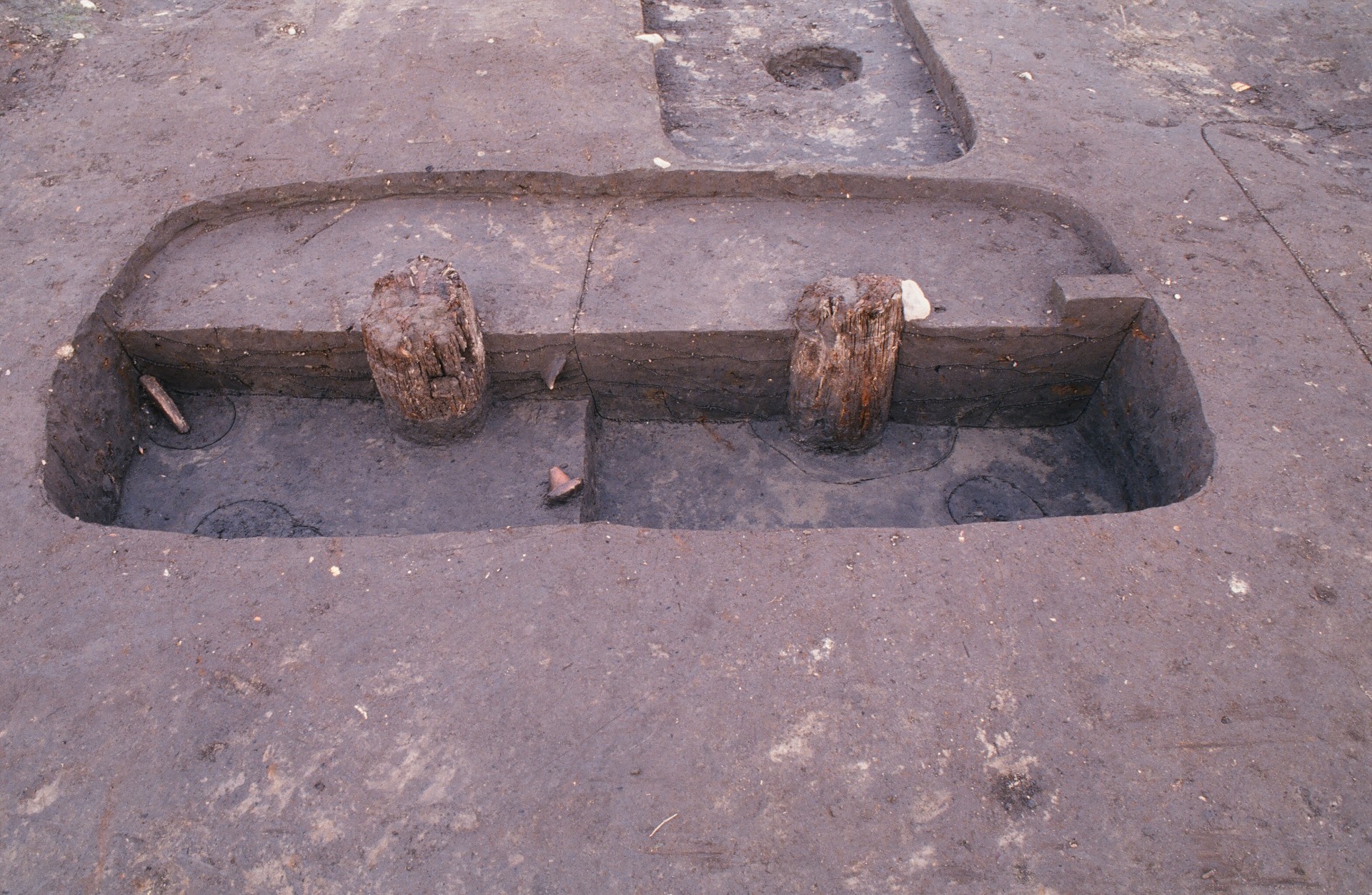 杉崎廃寺跡　柱穴新旧柱遺存状況