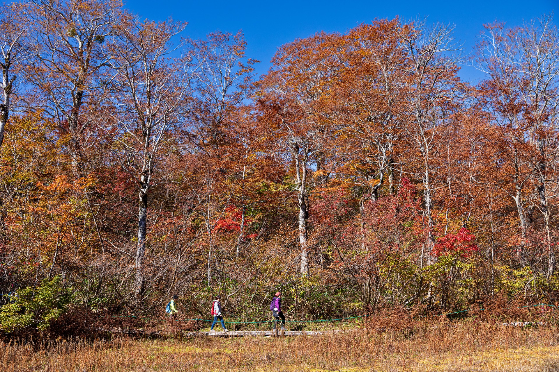 天生県立自然公園