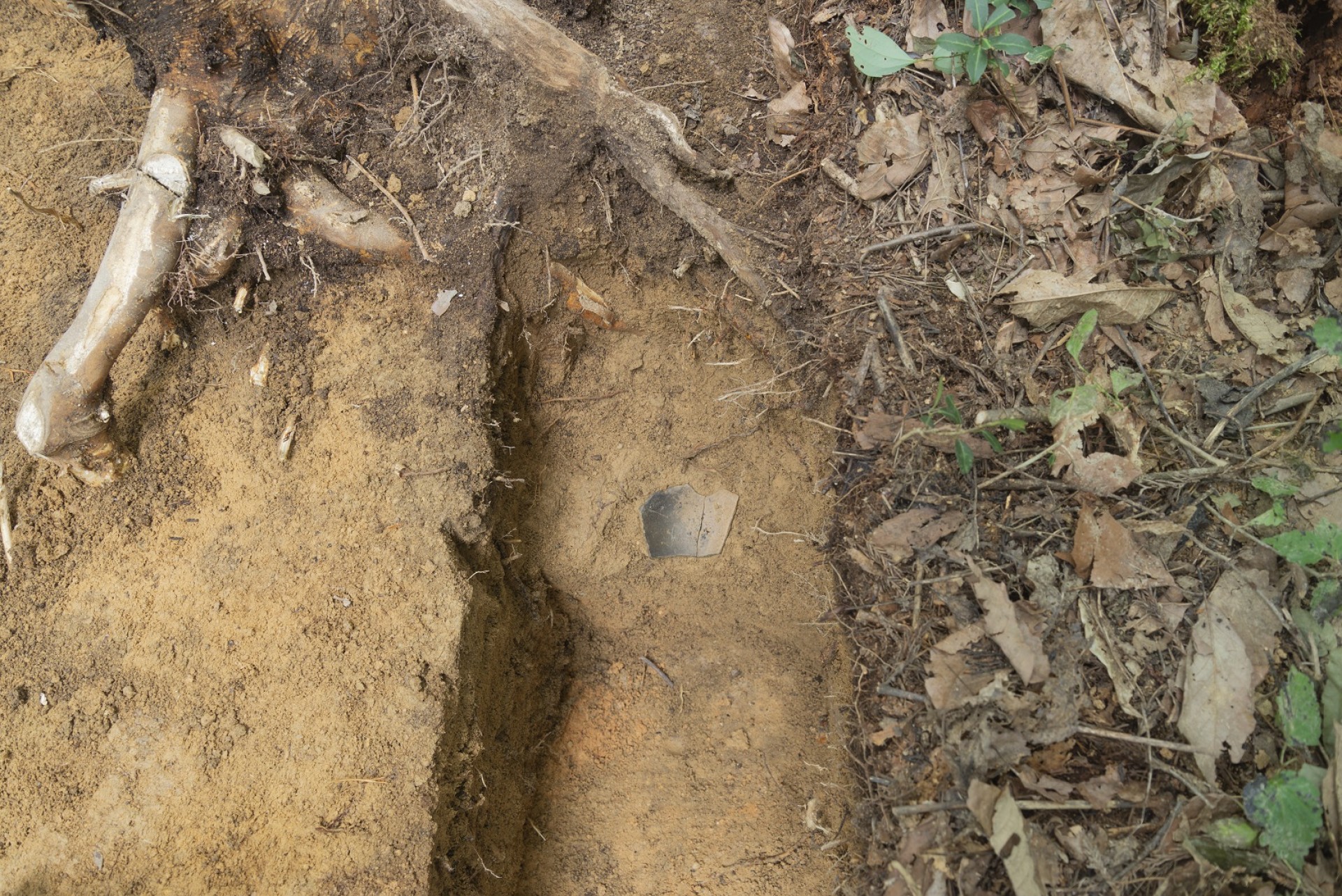 姉小路氏城館跡　野口城跡土師器皿№122出土状況（北から）