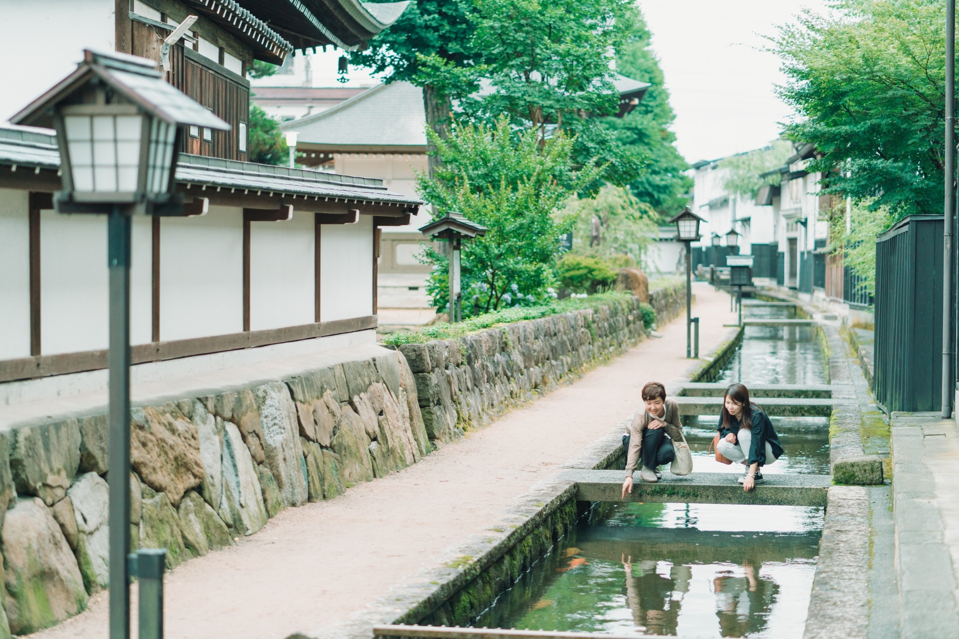 瀬戸川（夏）