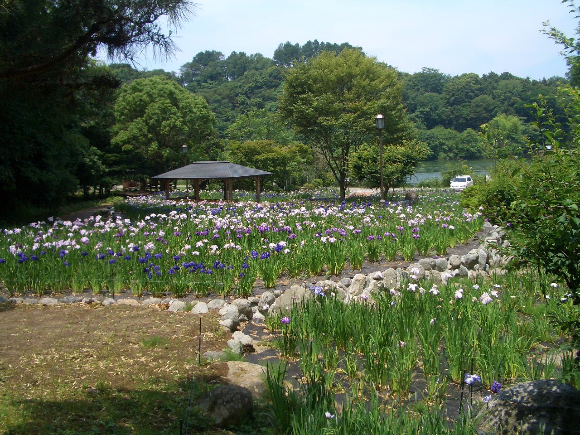 城池親水公園02