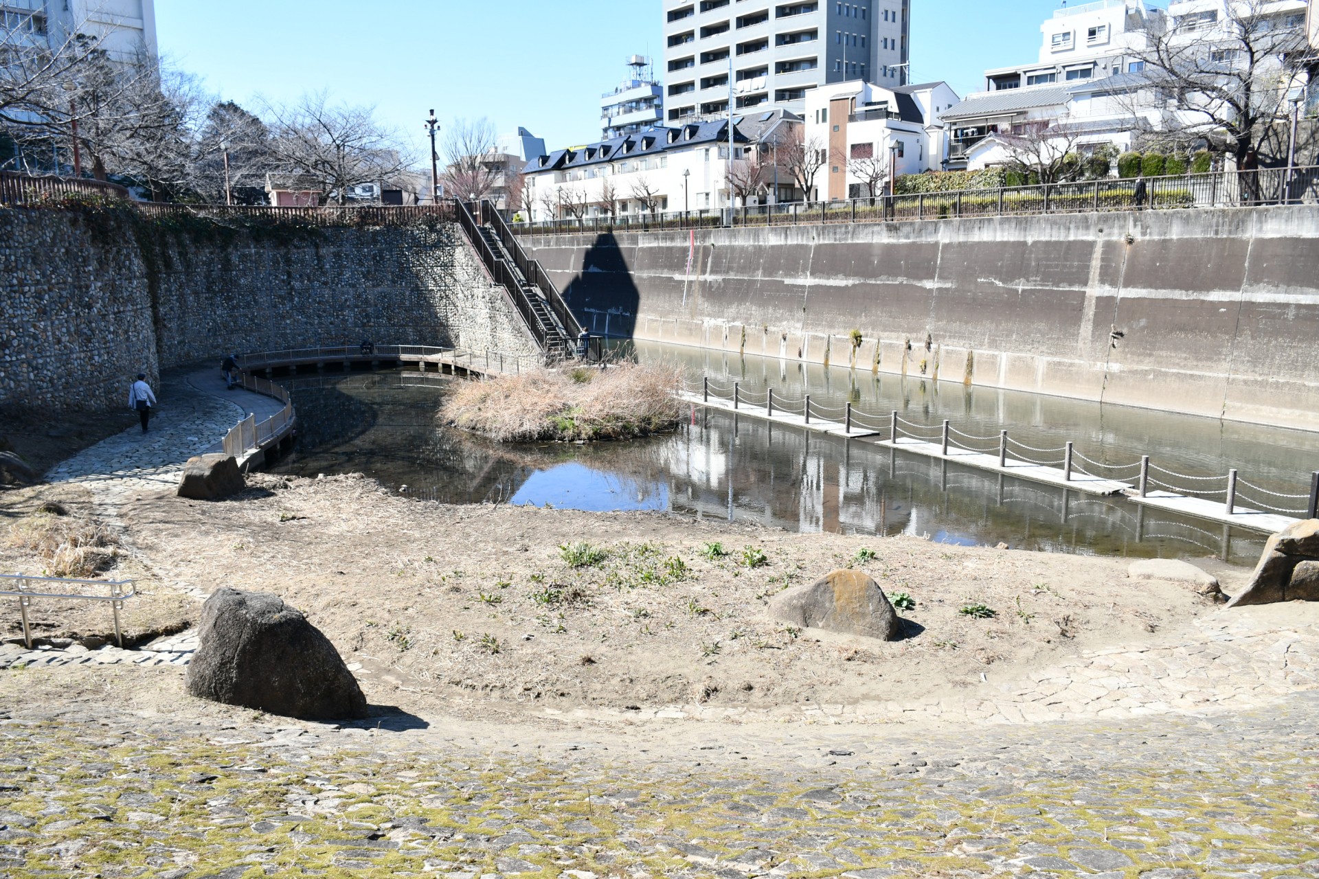 音無もみじ緑地_6