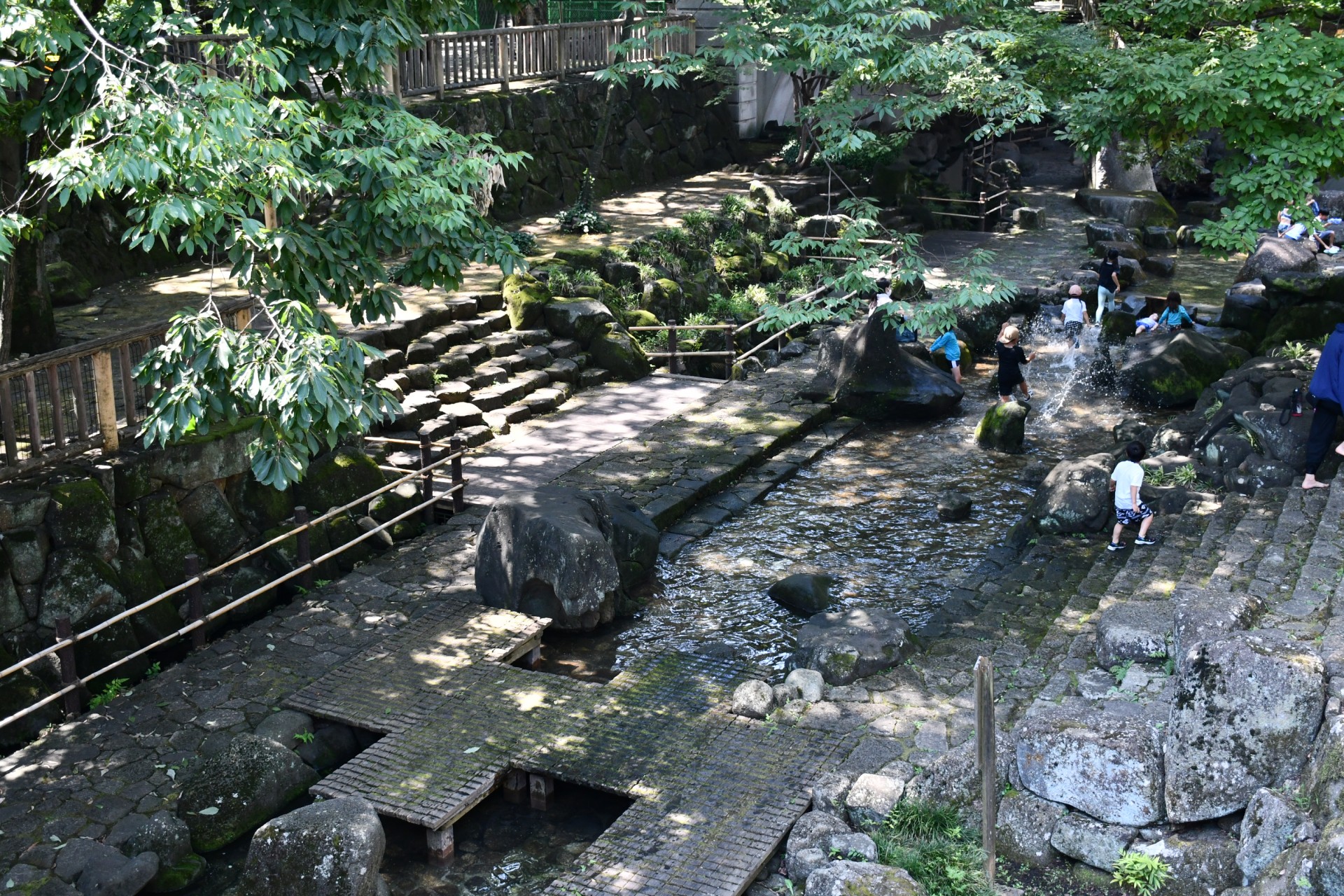 音無親水公園＿夏1