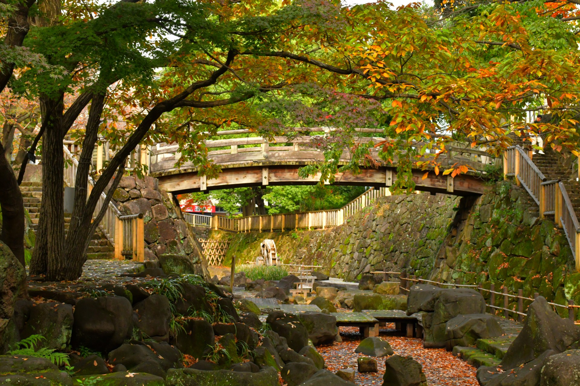 音無親水公園_秋7