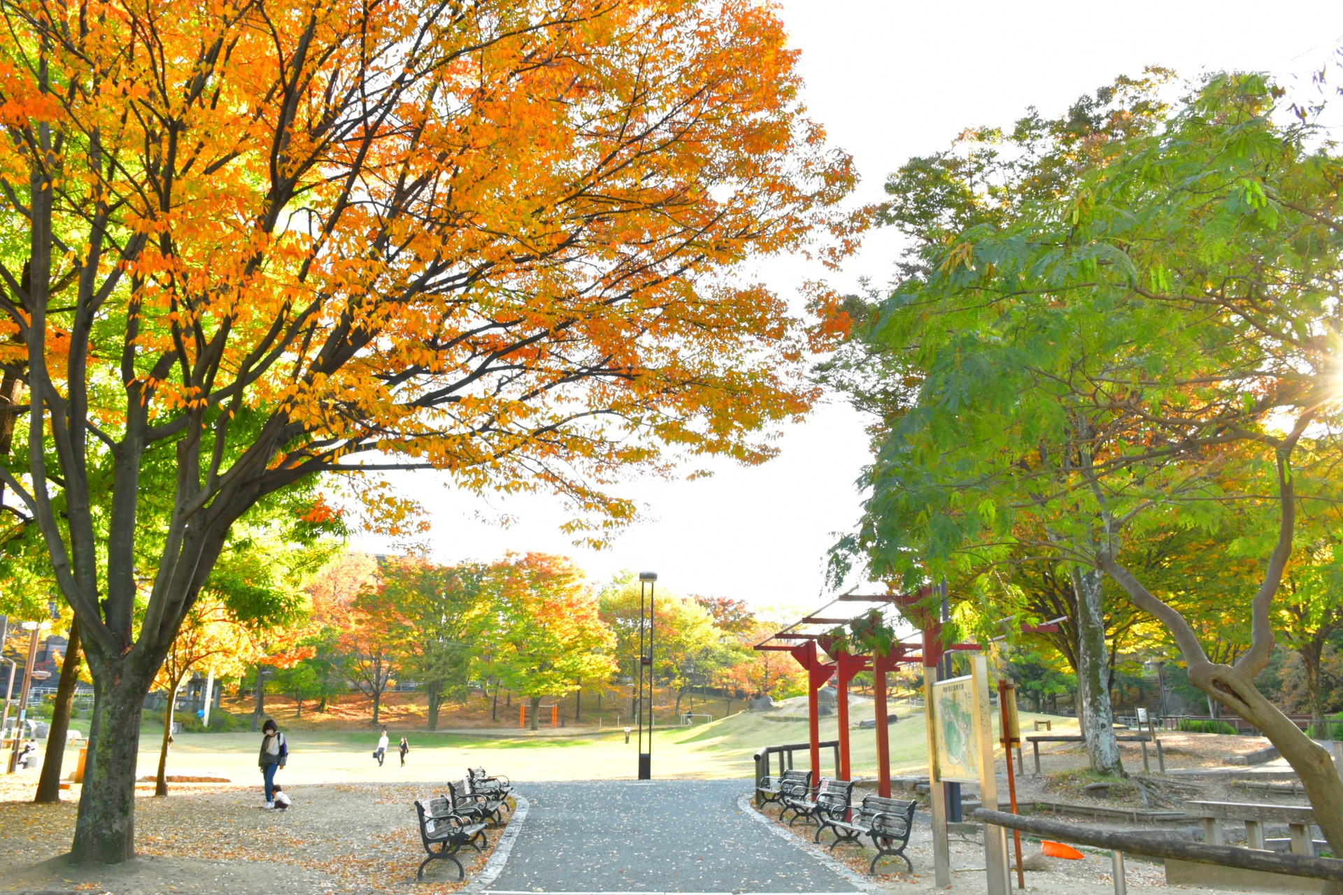 清水坂公園_秋3