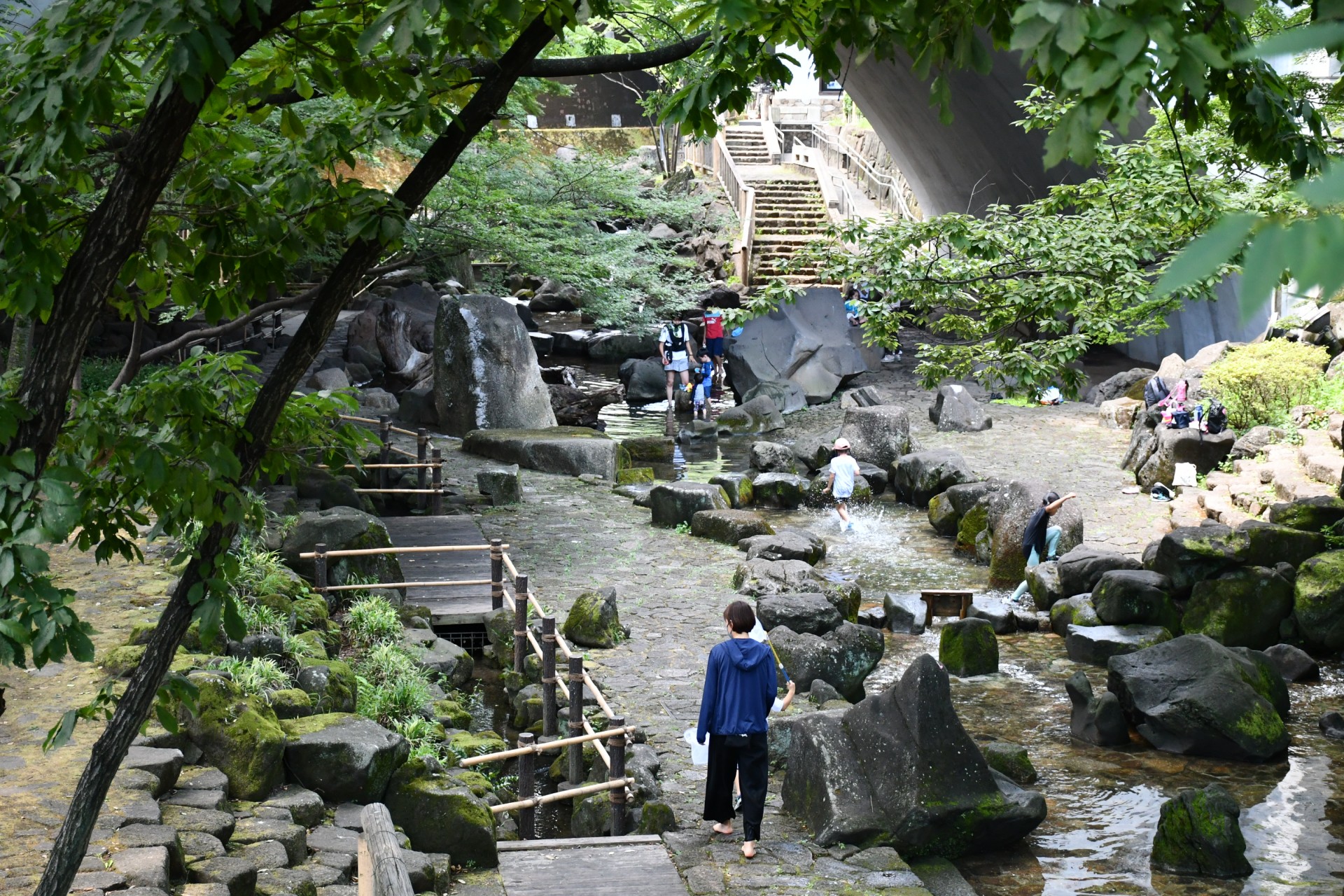 音無親水公園＿夏5