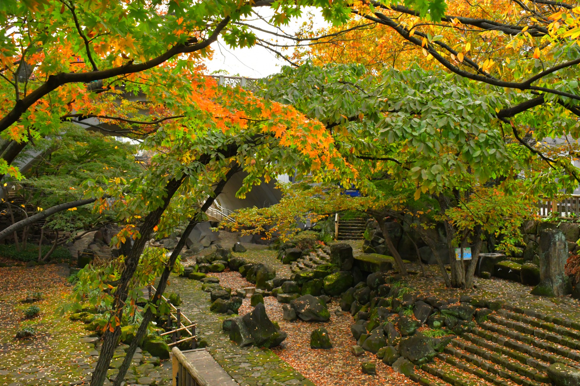 音無親水公園_秋1