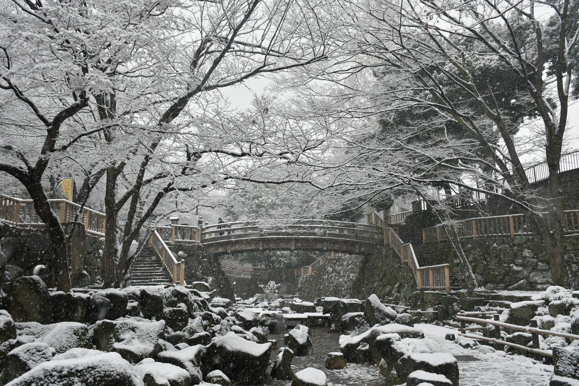 音無親水公園_冬2