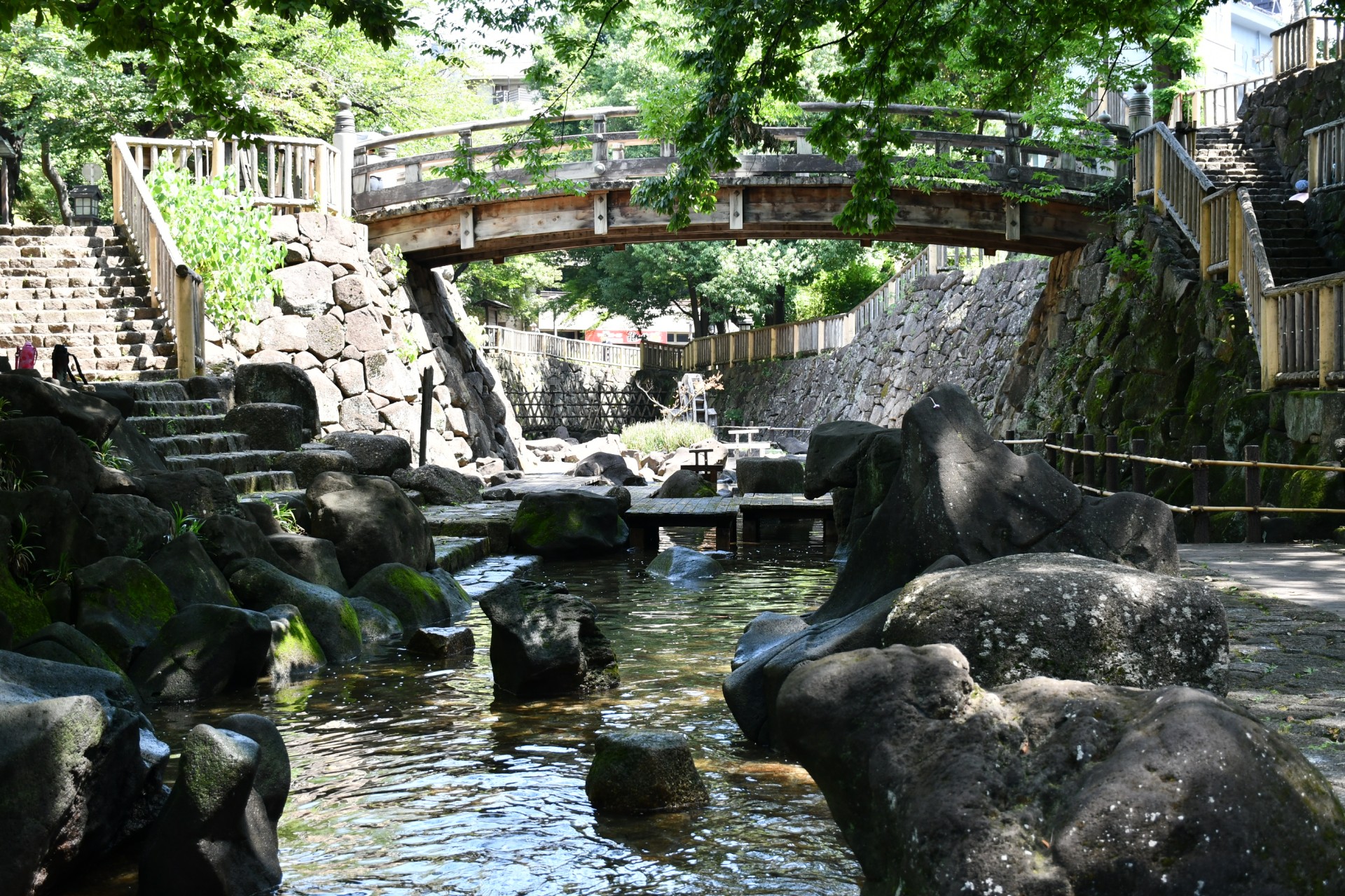 音無親水公園＿夏3