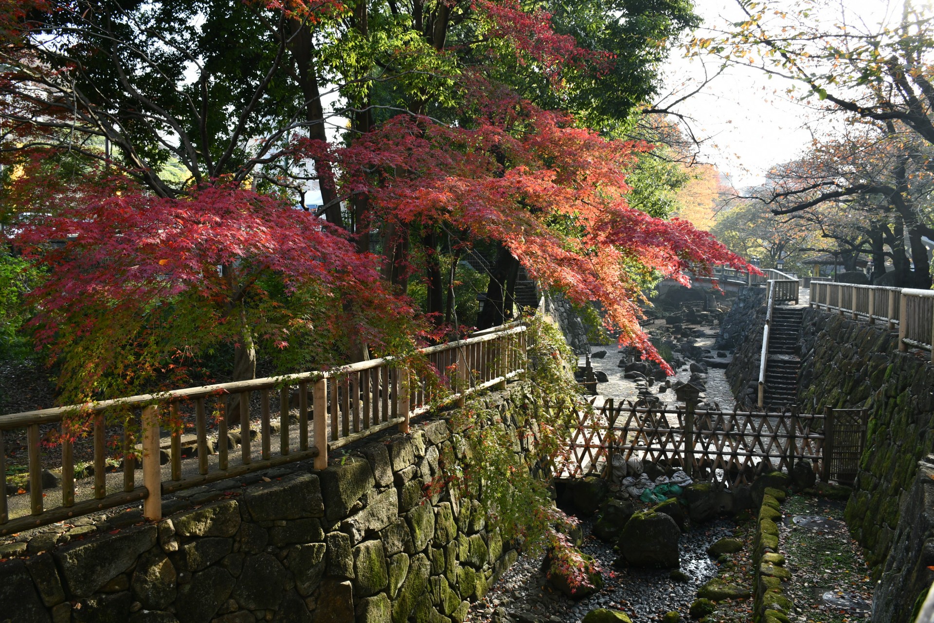 音無親水公園_秋2