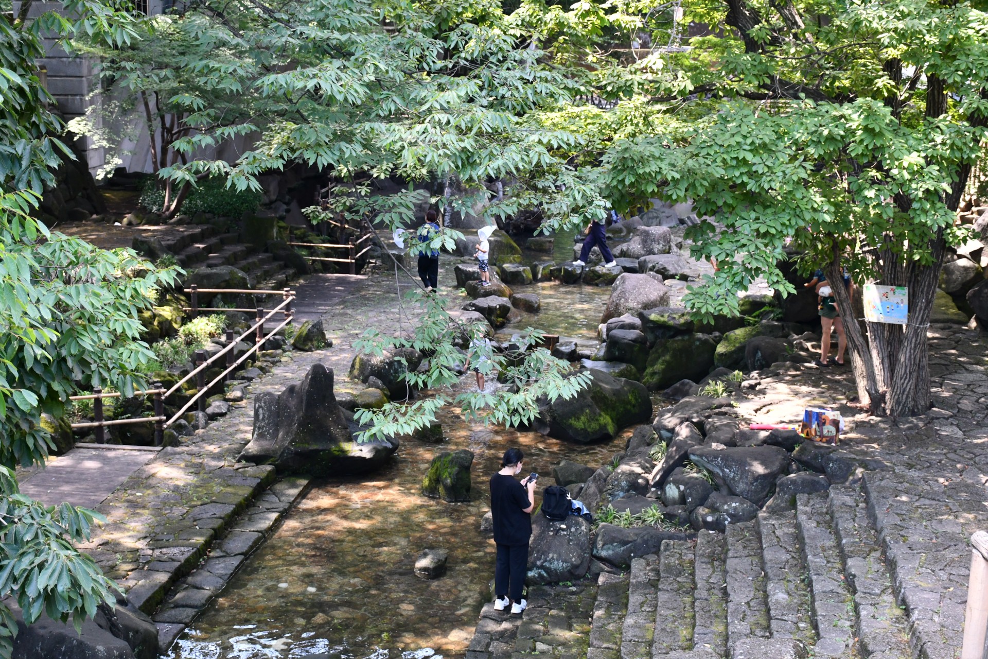 音無親水公園＿夏6