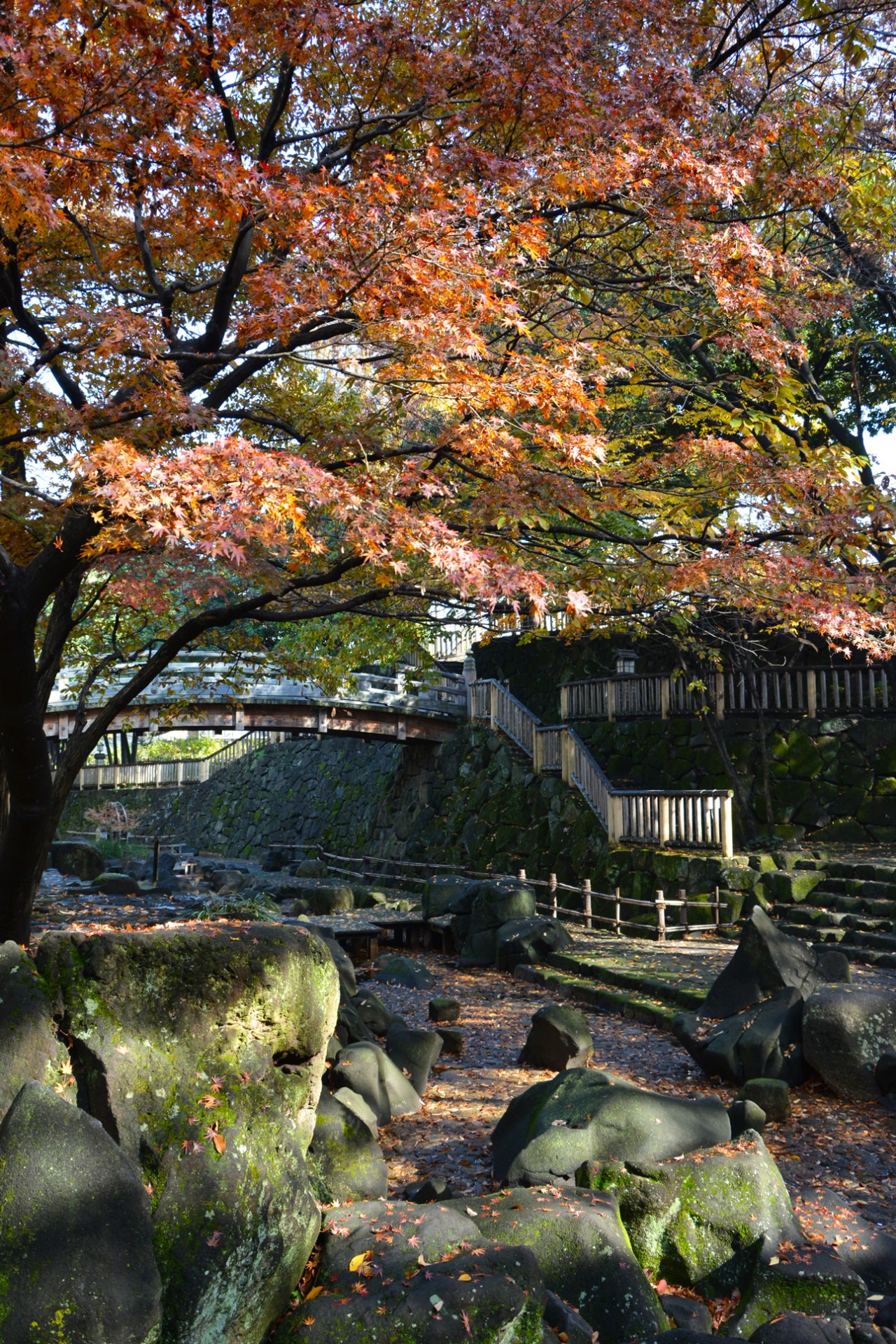 音無親水公園_秋3