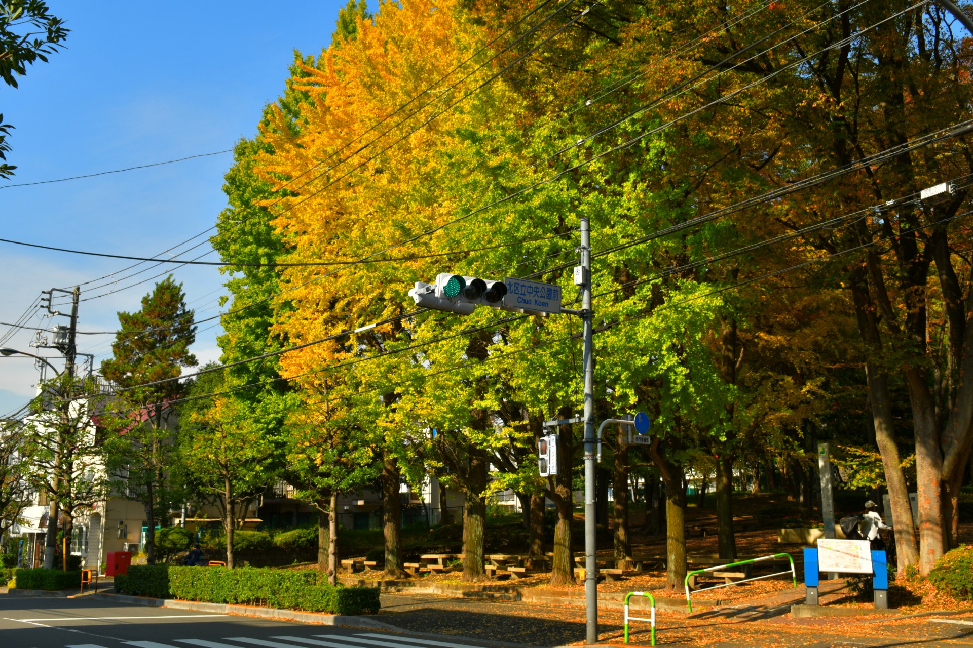 中央公園_秋1