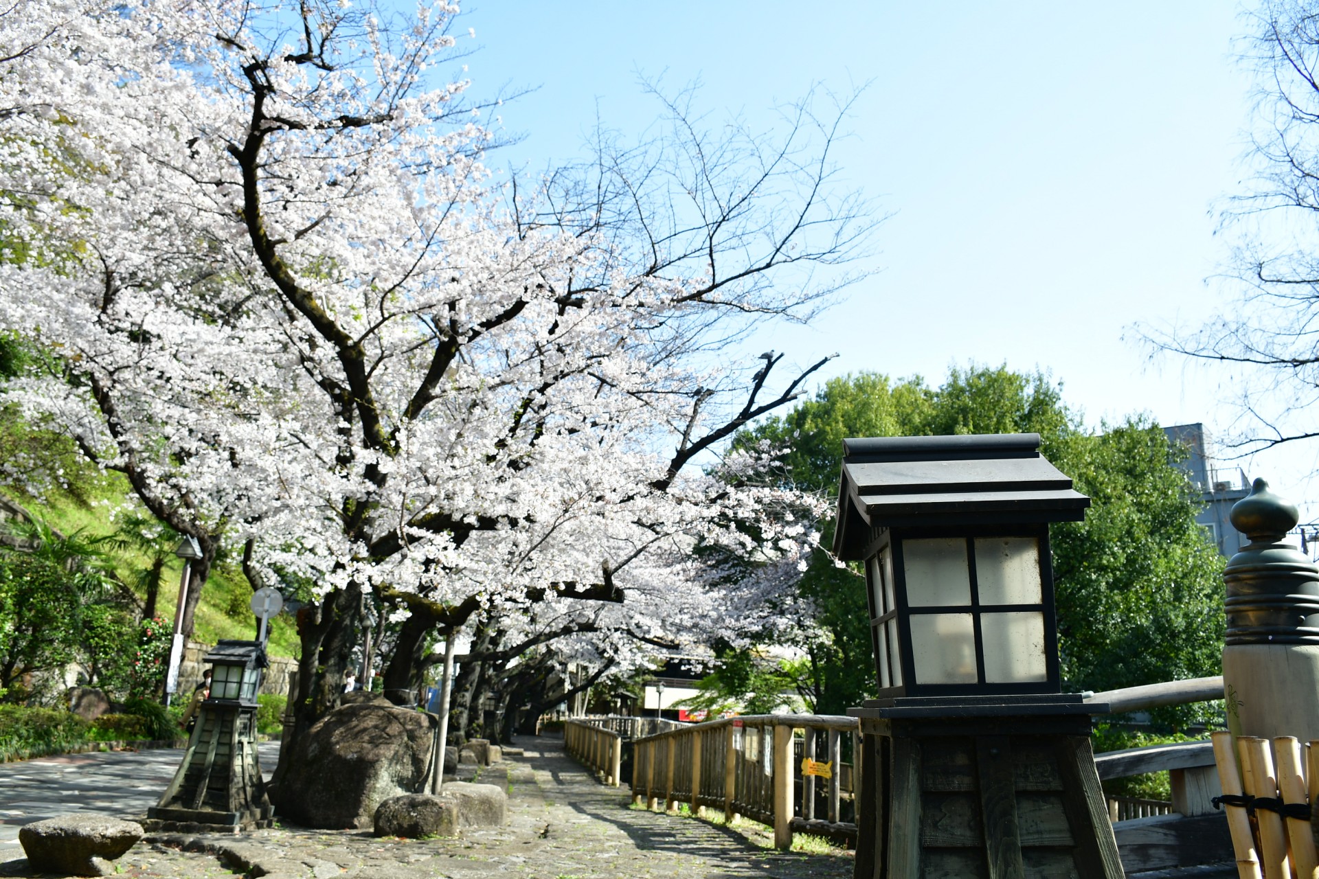 音無親水公園_1