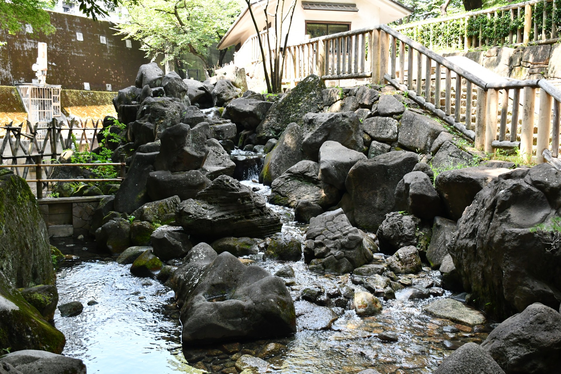 音無親水公園＿夏4