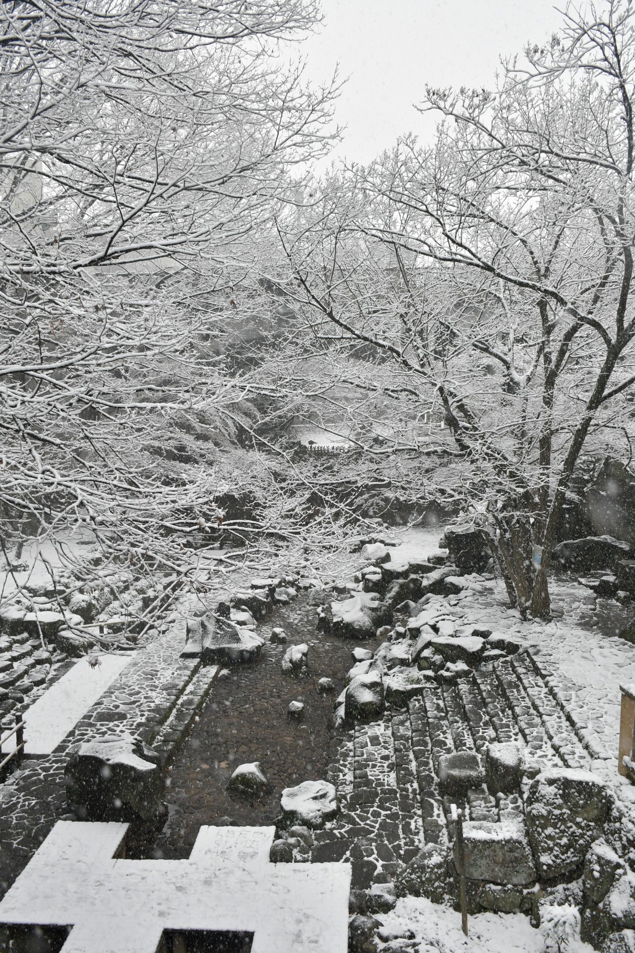 音無親水公園_冬1