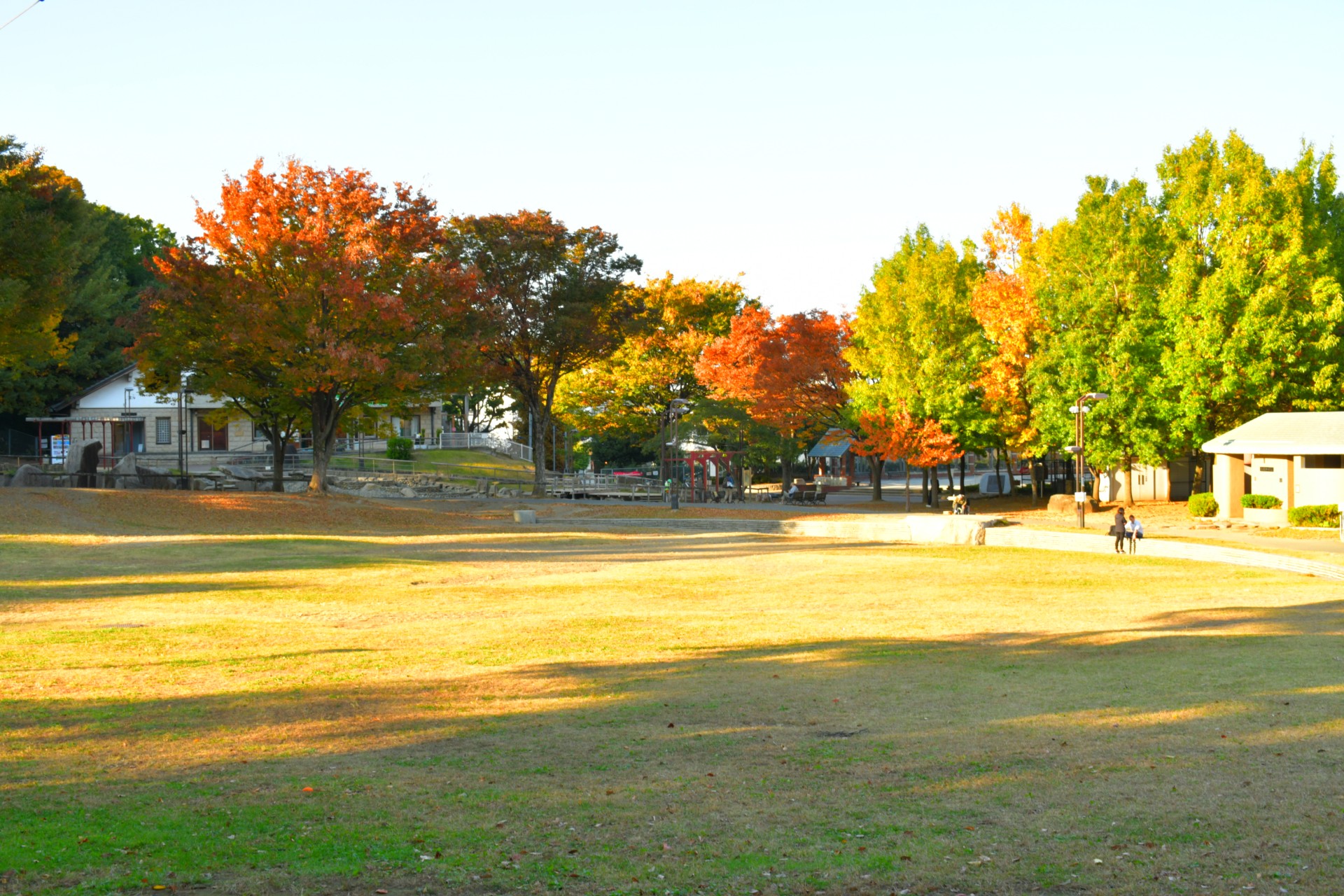 清水坂公園_秋1