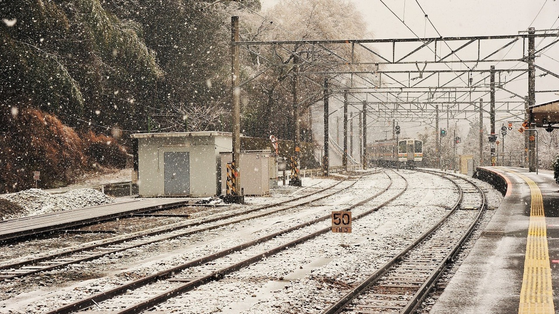 飯田線　駅　雪景色