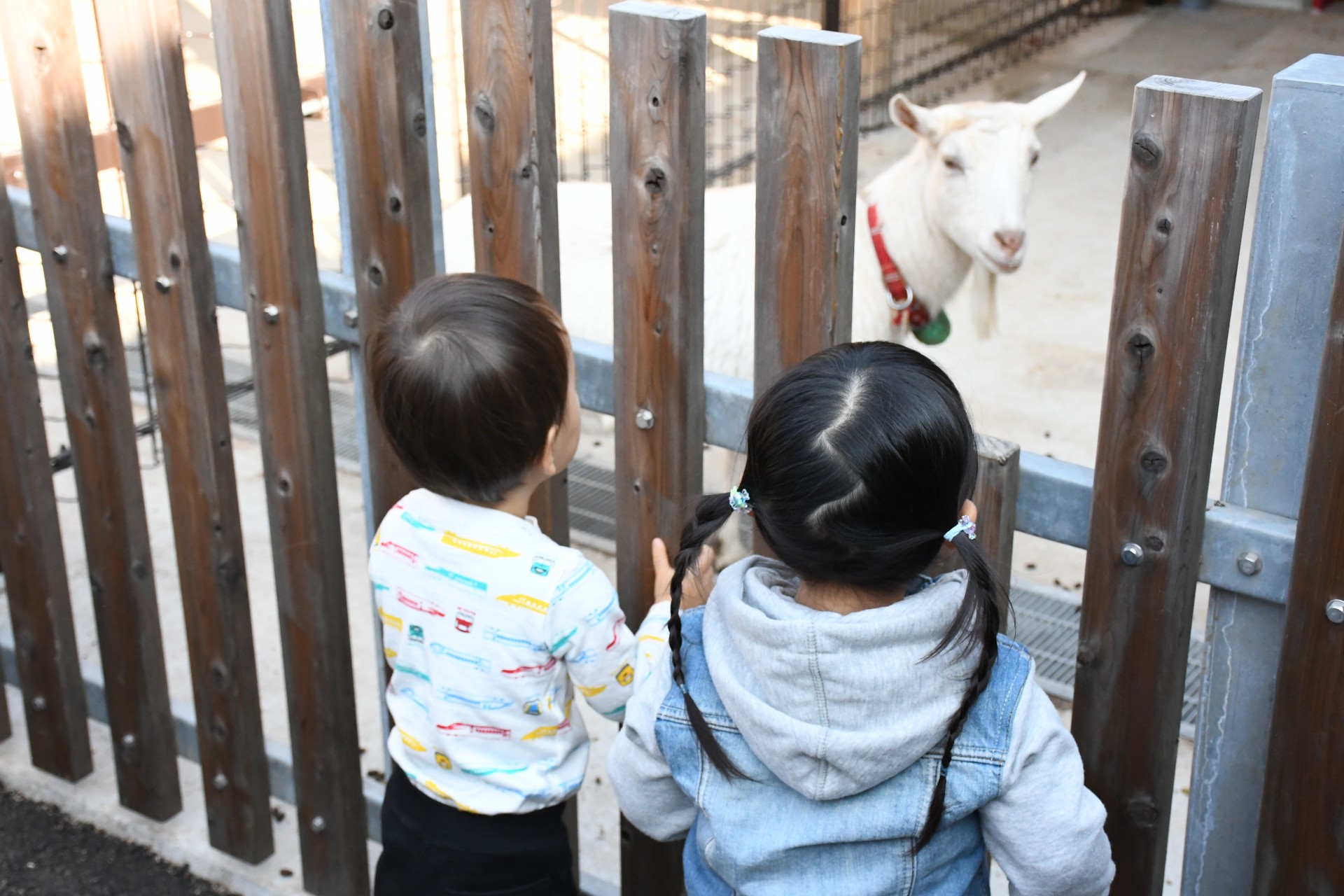 子ども動物園にいる子ども