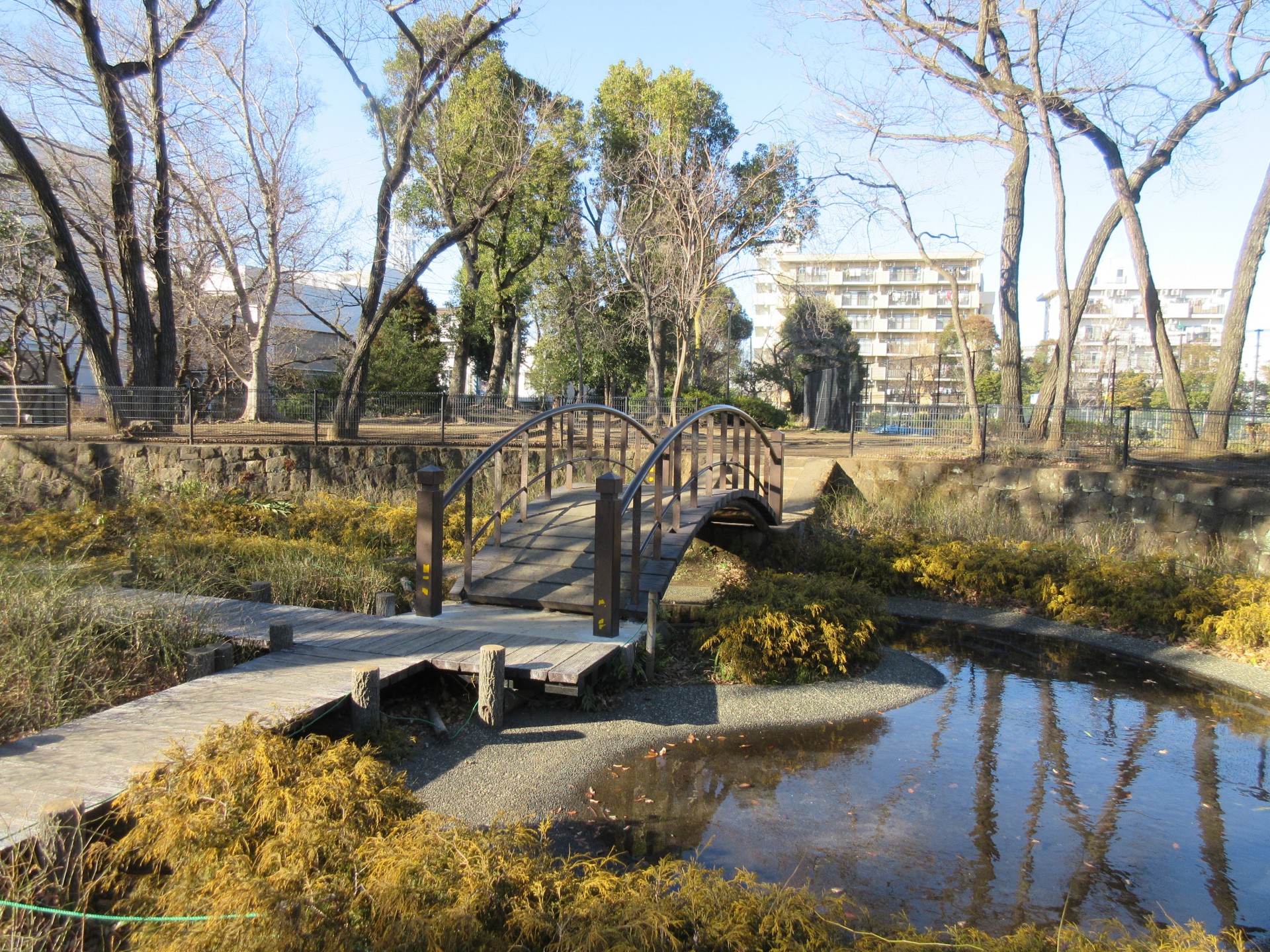 徳丸ヶ原公園2