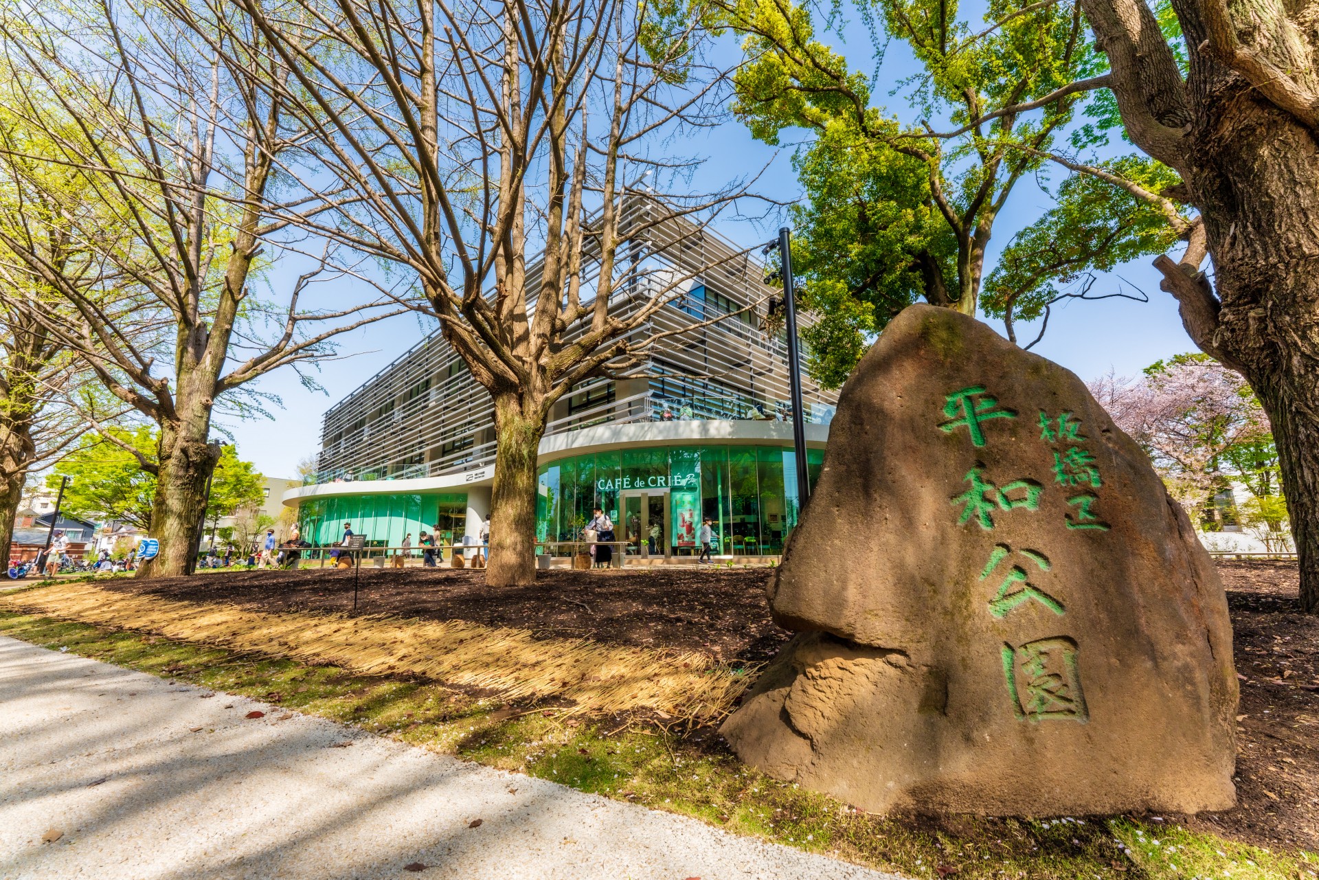 中央図書館全景5