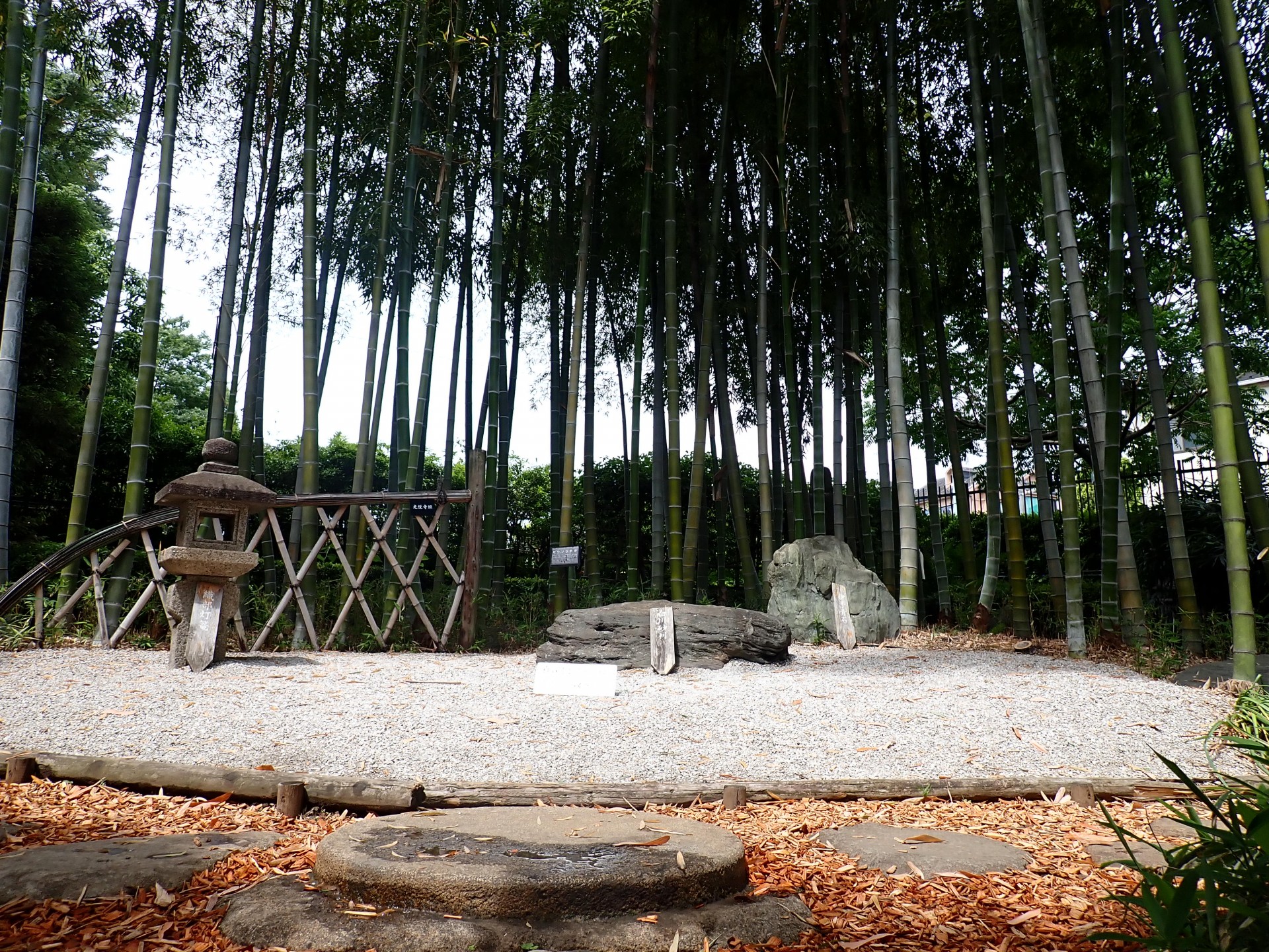 赤塚植物園日本庭園の中