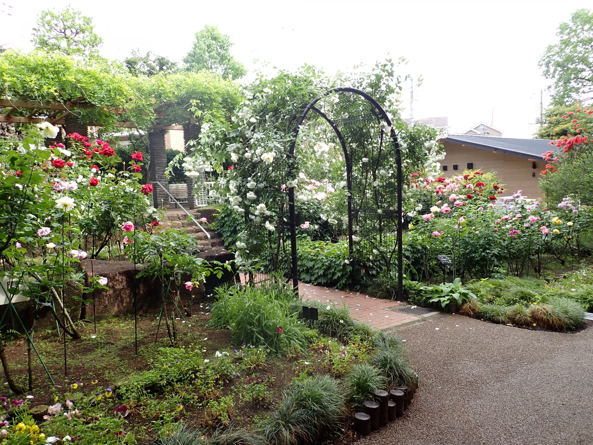 赤塚植物園バラ園