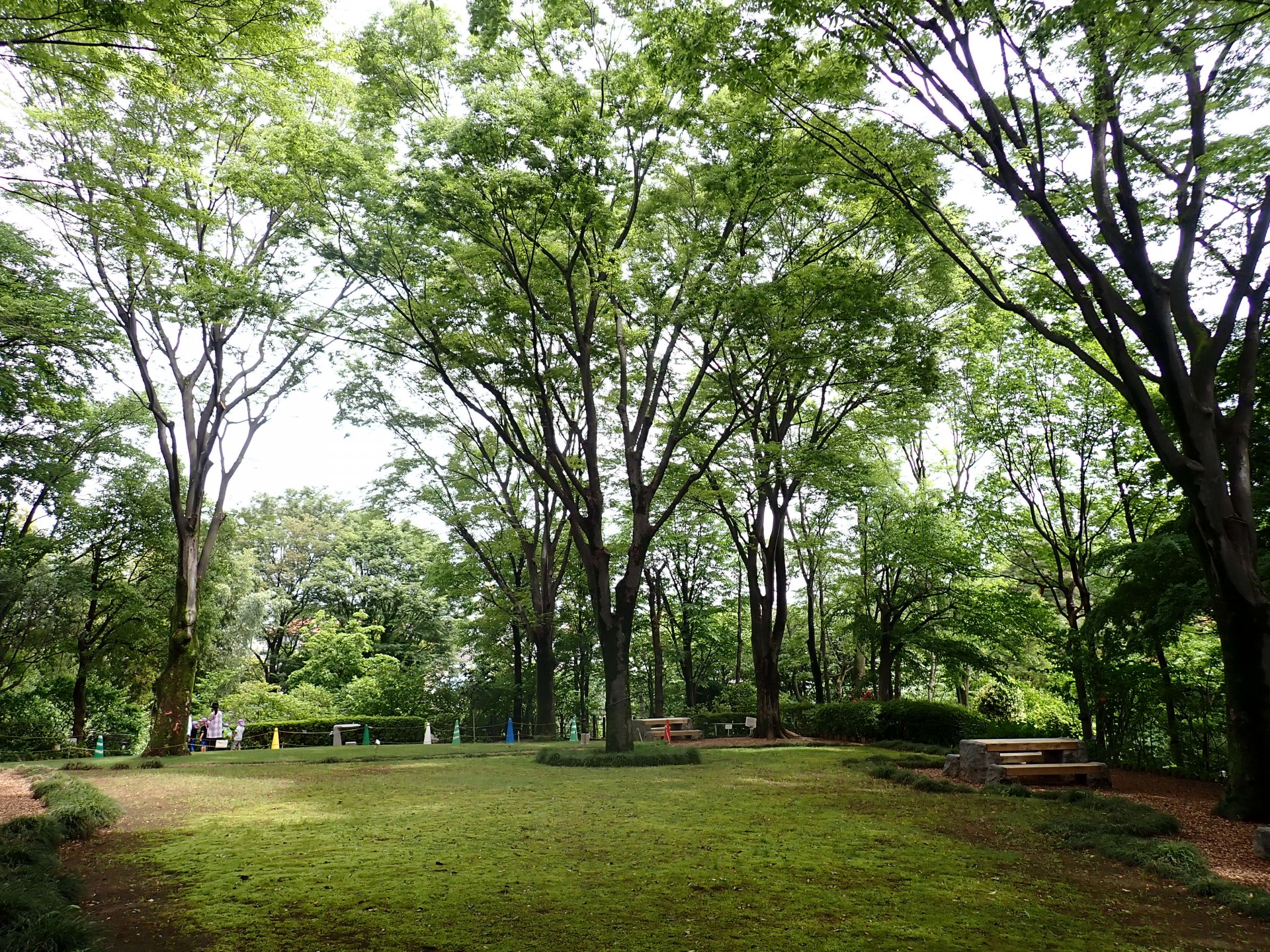 赤塚植物園ケヤキ広場