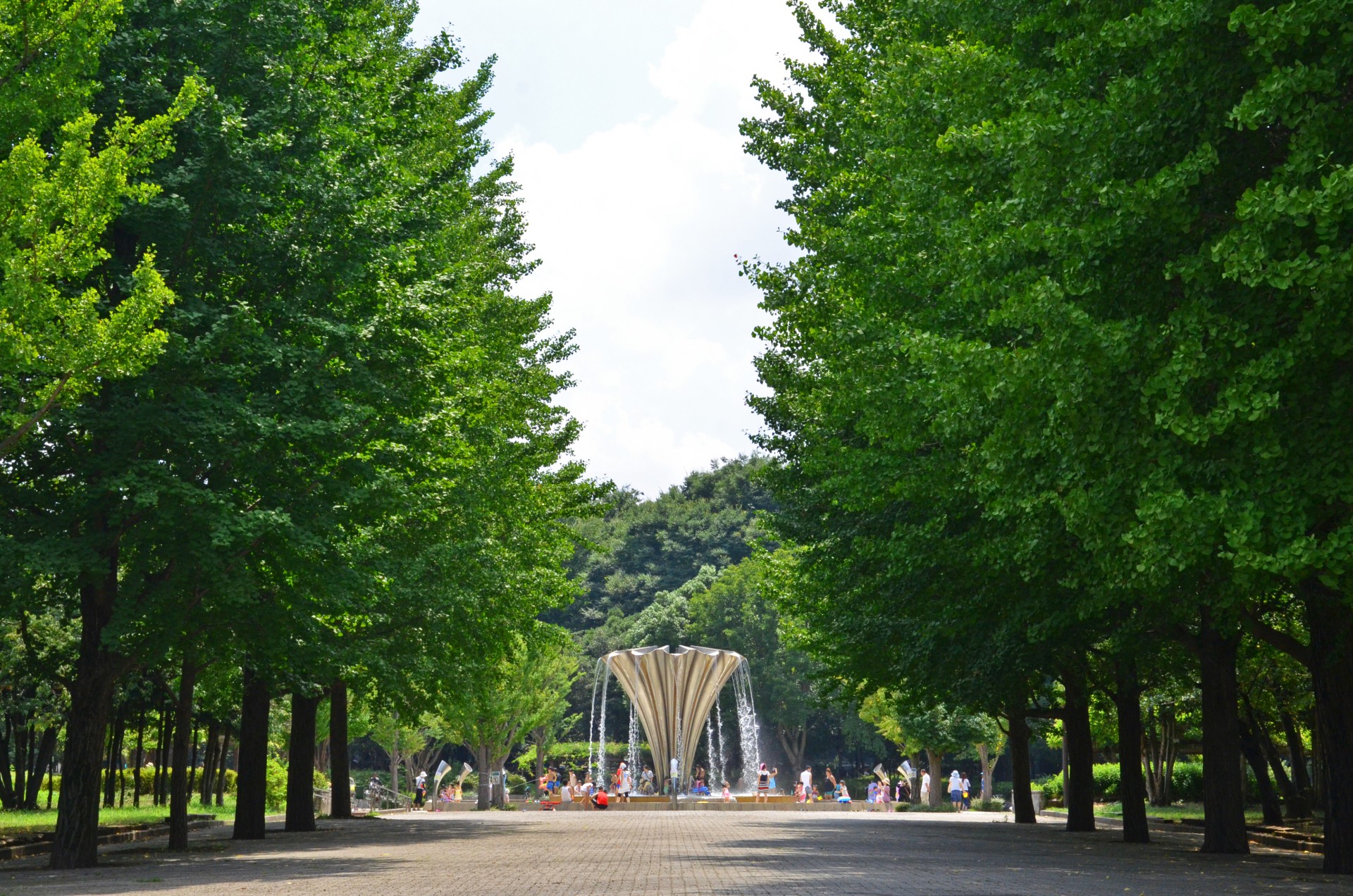 都立赤塚公園2