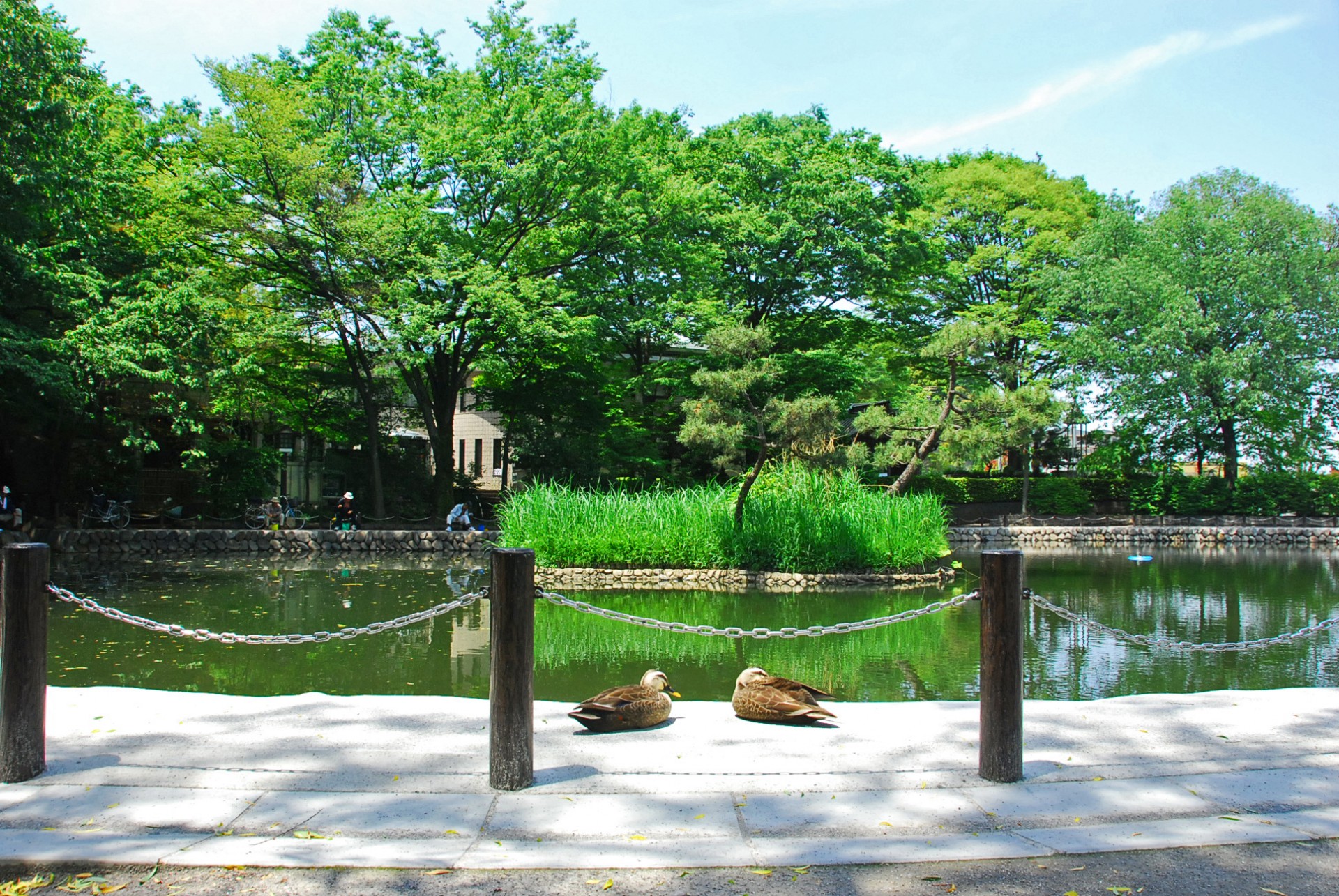 赤塚溜池公園