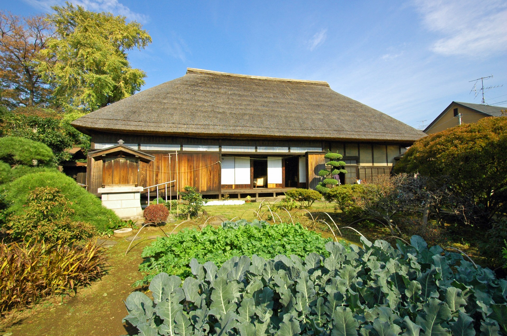 旧粕谷家(東の隠居)住宅1