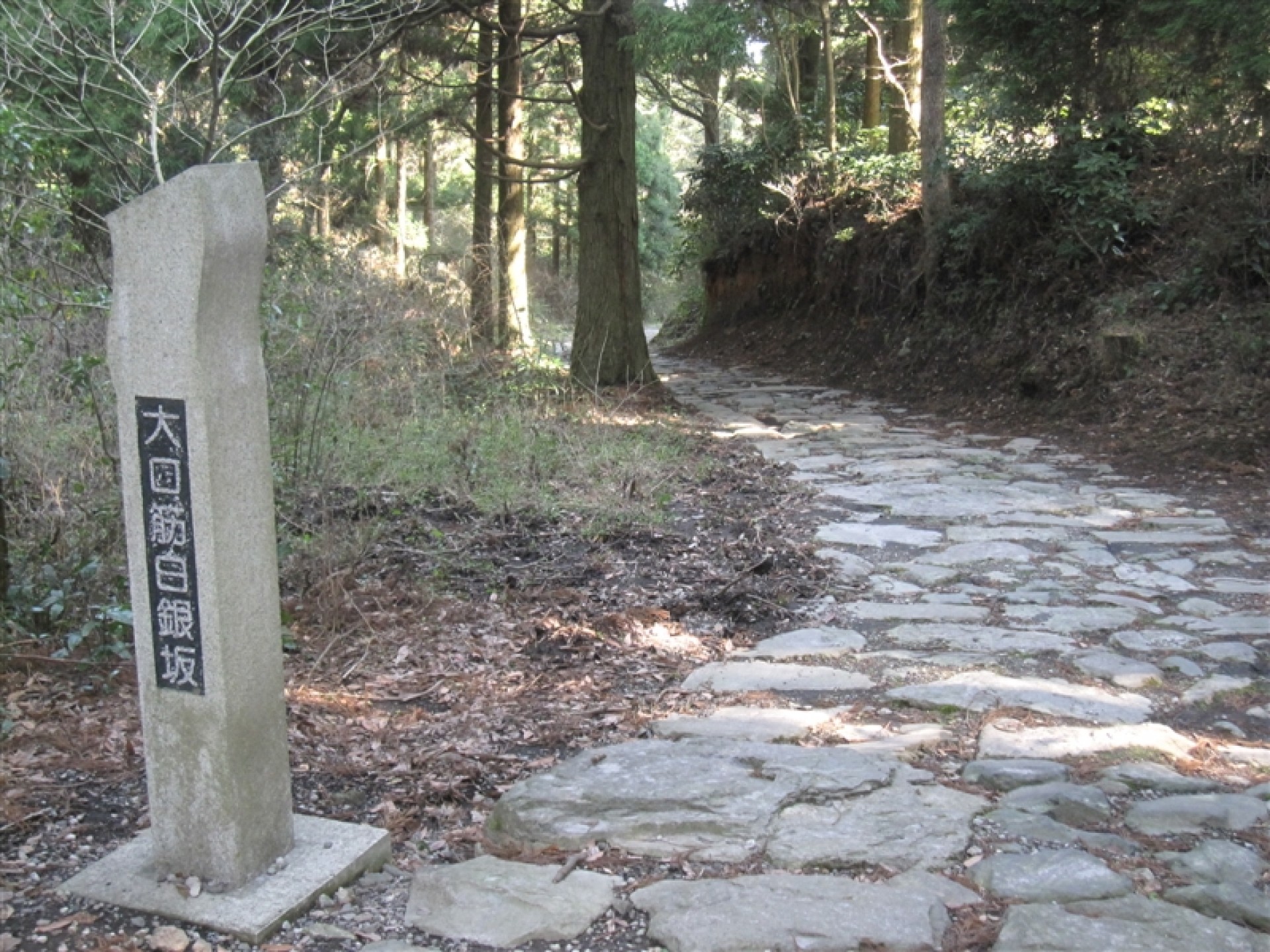 大口筋白銀坂(おおくちすじしらがねざか)