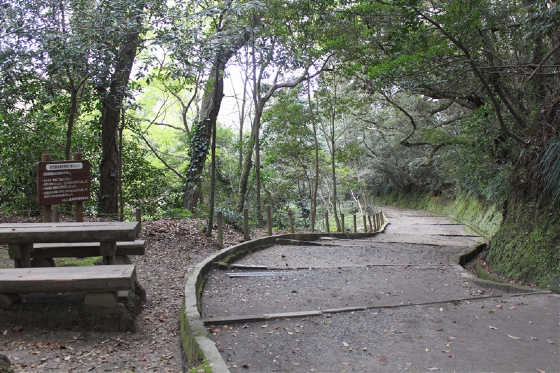 城山自然遊歩道(しろやましぜんゆうほどう)