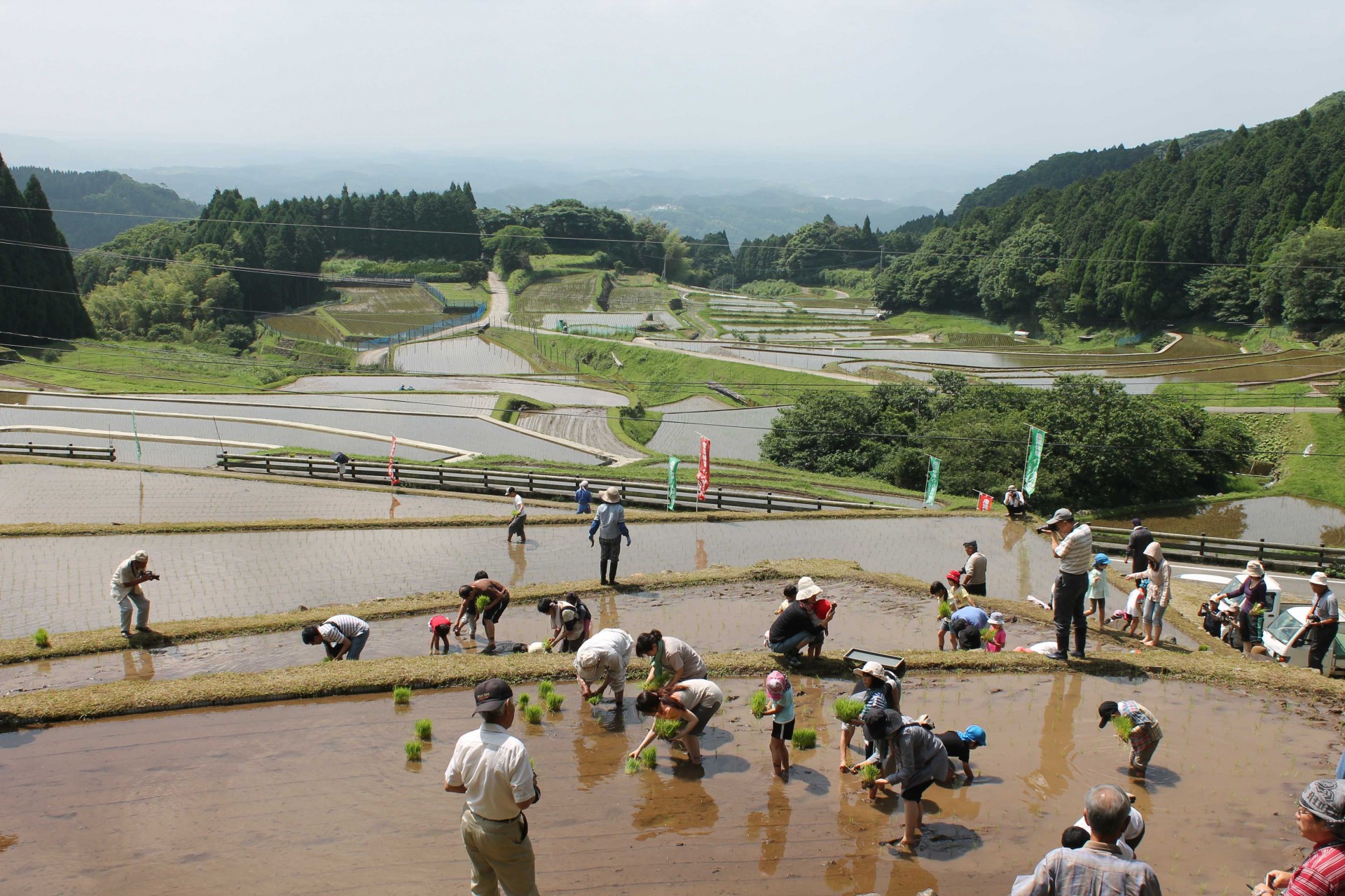 八重の棚田(やえのたなだ)