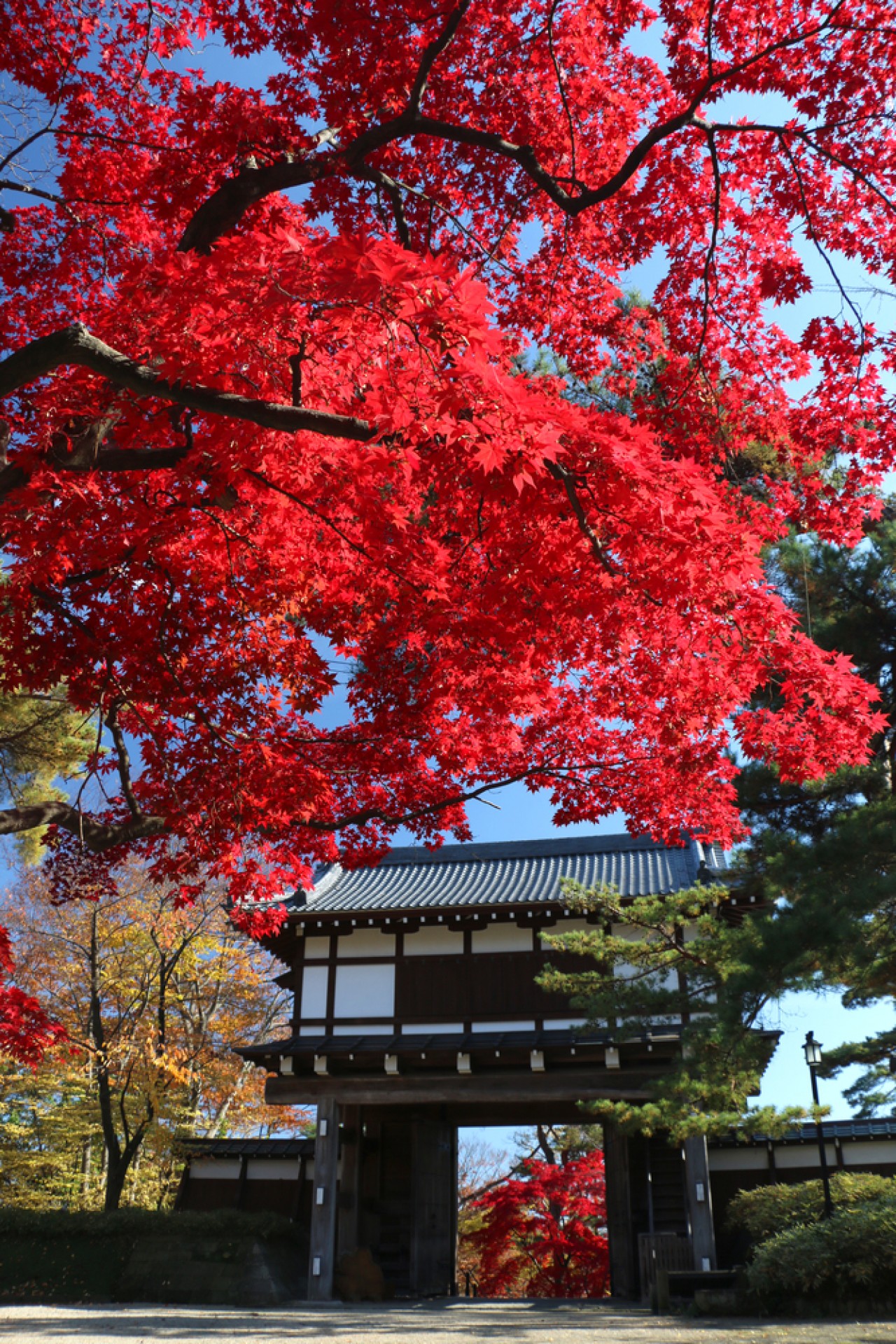 千秋公園　表門