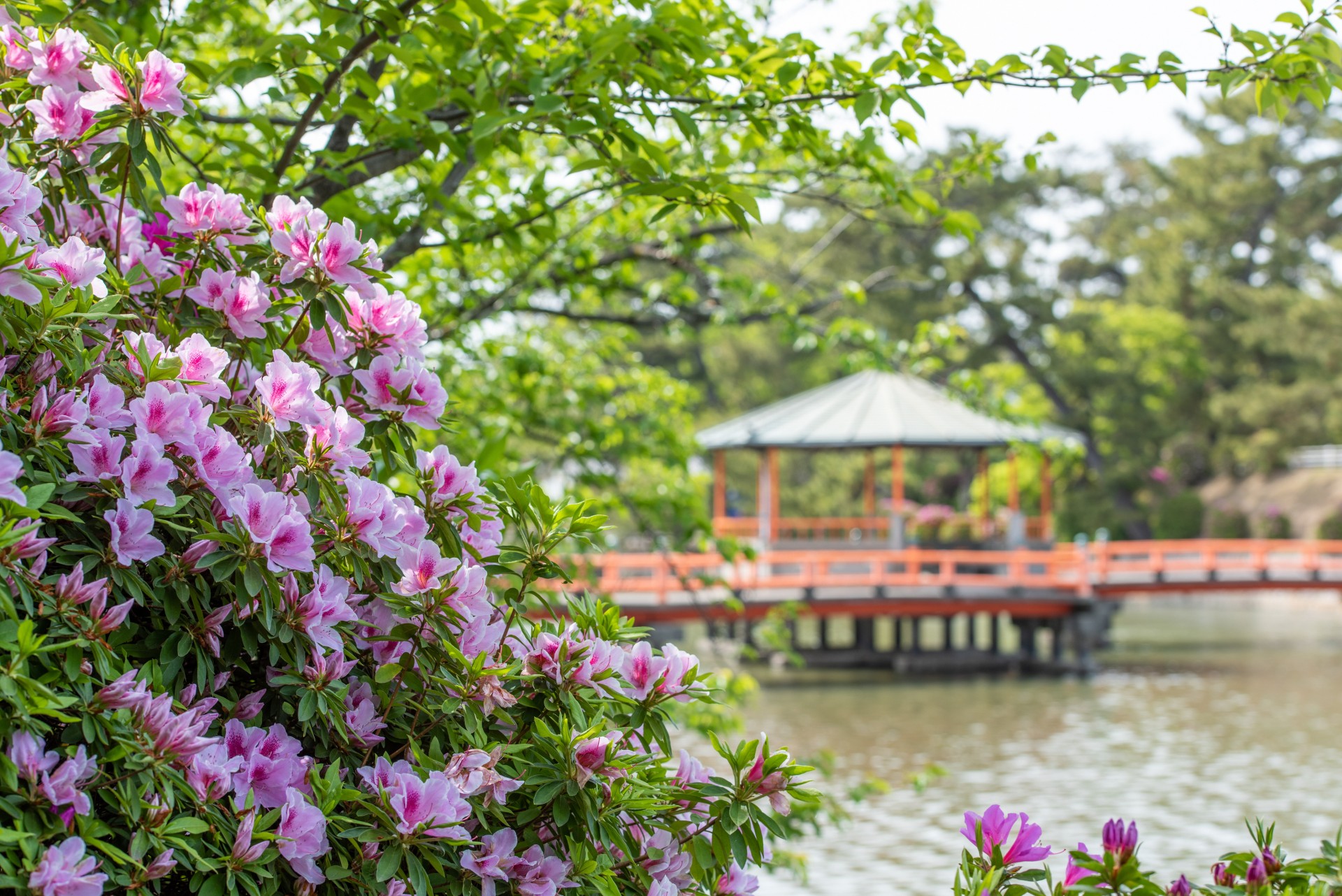 九華公園