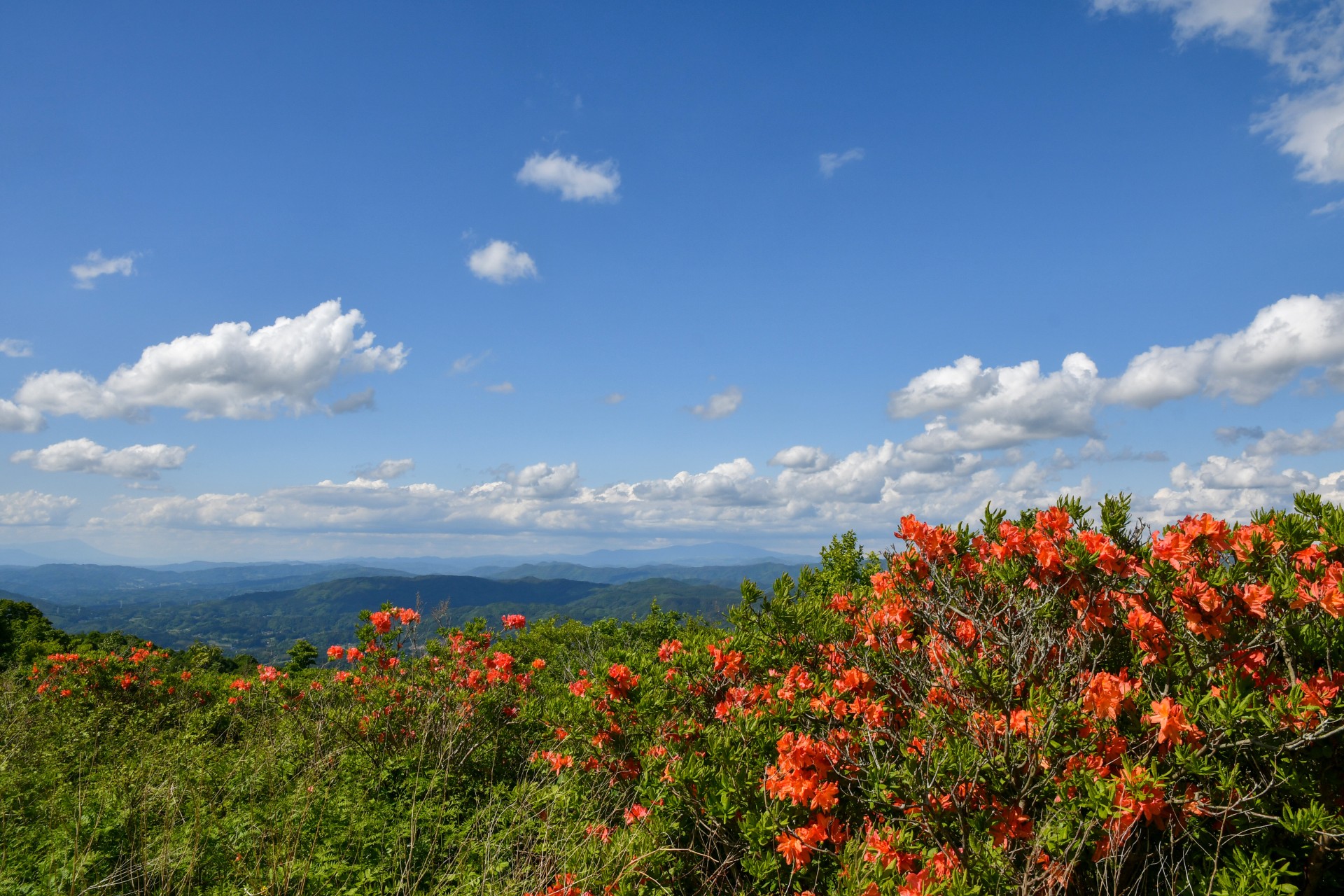 阿原山高原