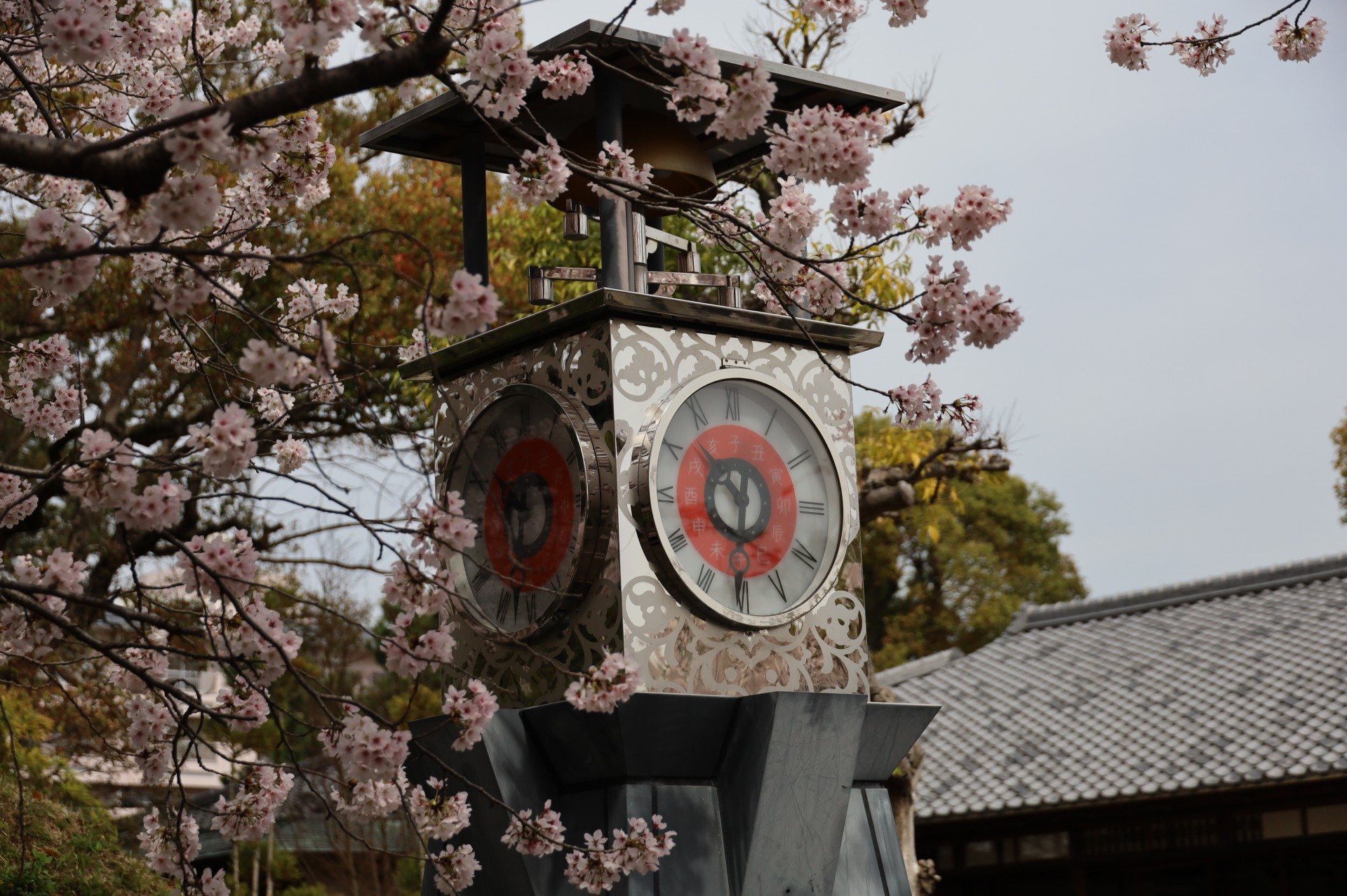 歴史公園＿春＿桜  (2)