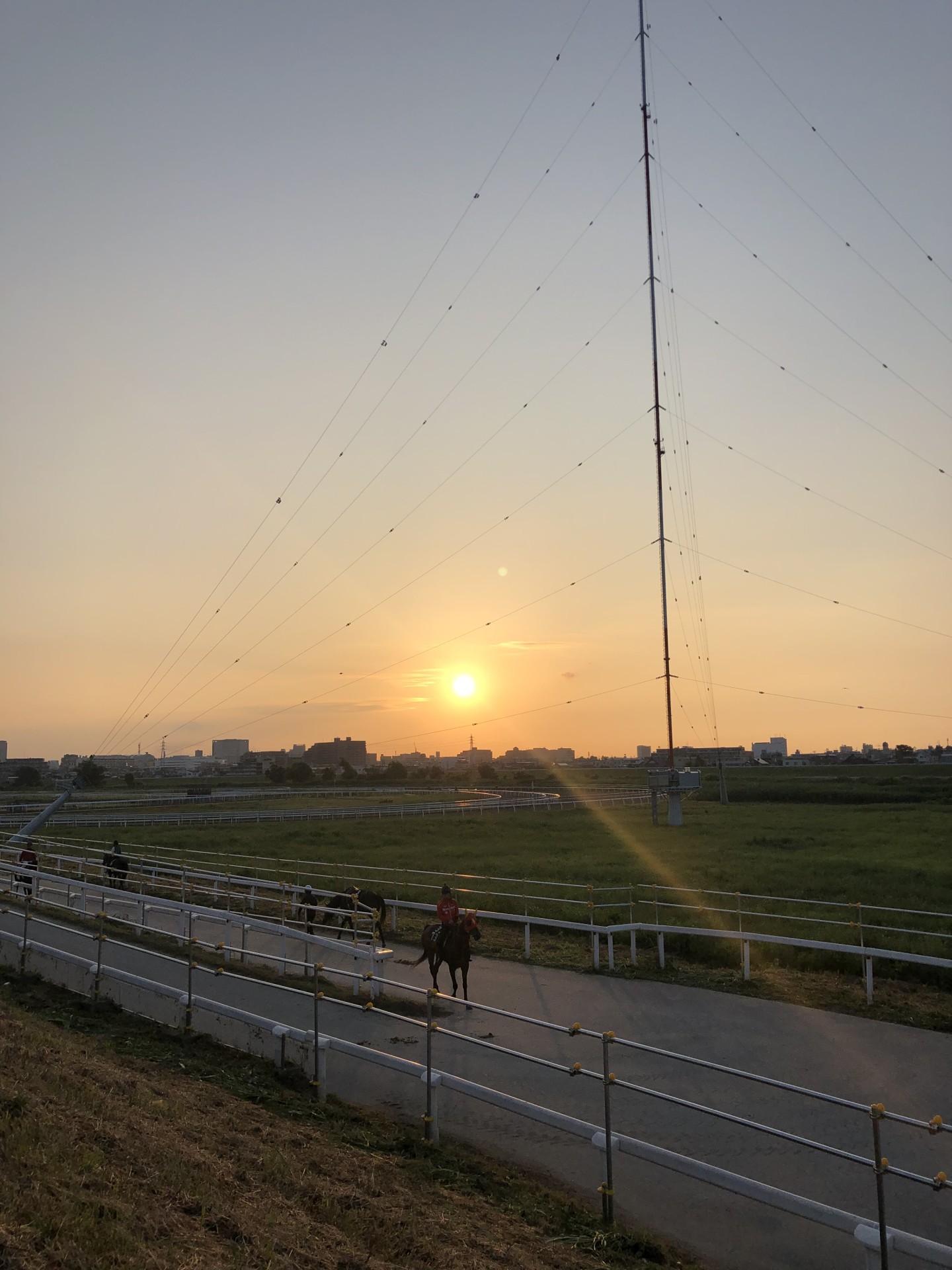 朝日を背に