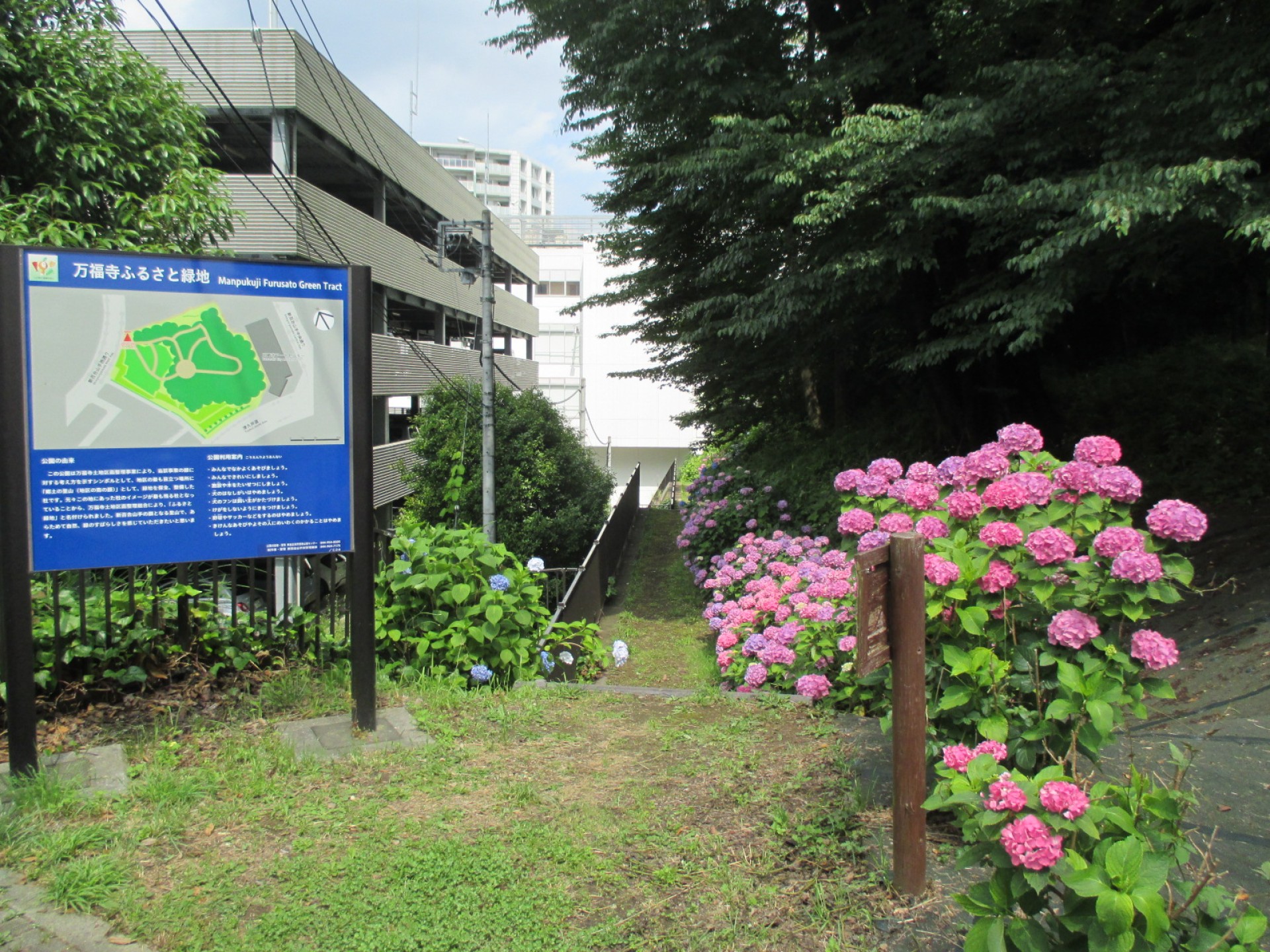 万福寺ふるさと緑地